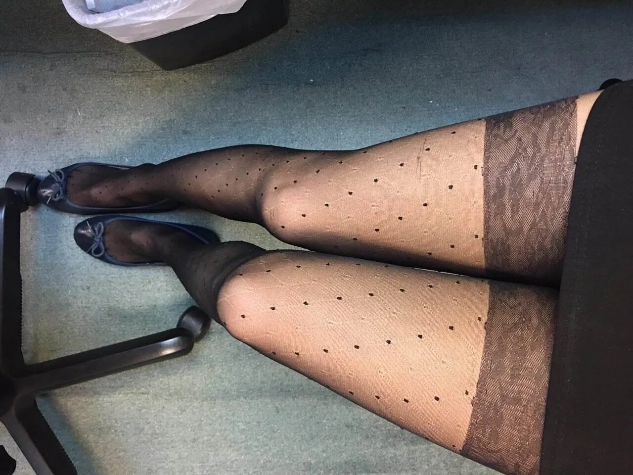 jablehk_leg 11_0018.jpg