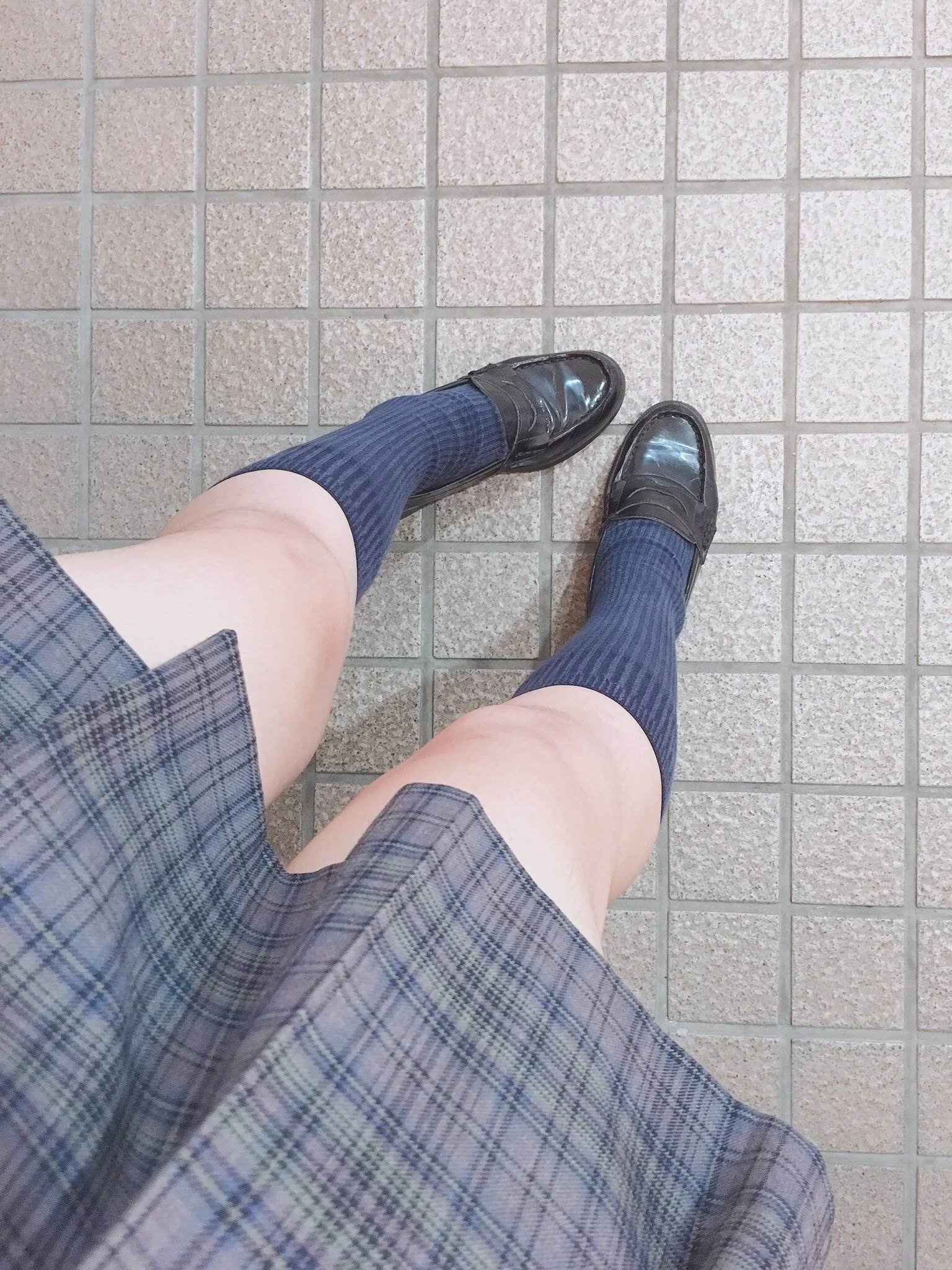 jablehk_leg 11_0033.jpg
