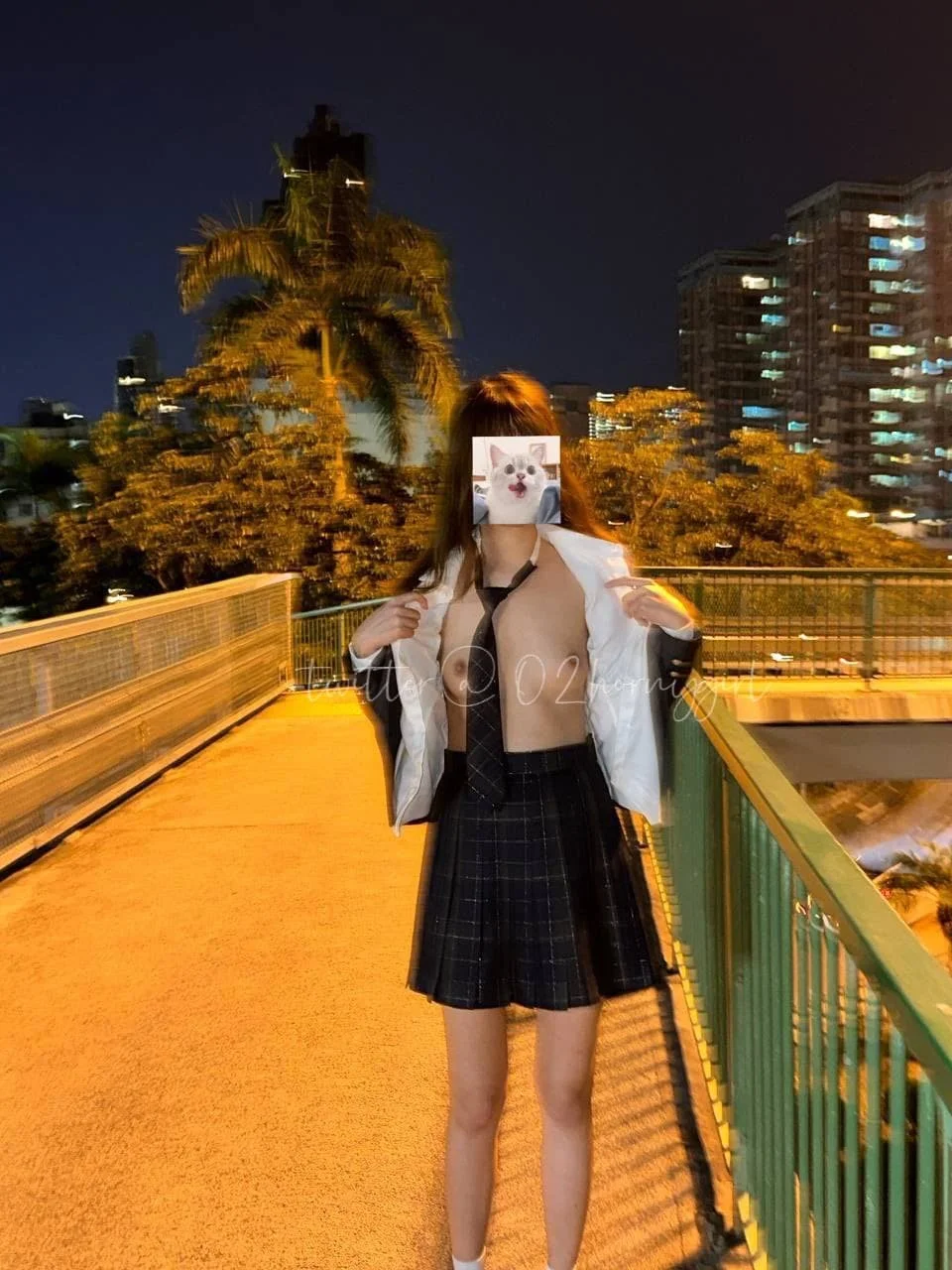 A woman with her face covered by a dog photo, wearing a black plaid skirt, white shirt, and black tie, standing on a bridge at night with city buildings and trees in the background.