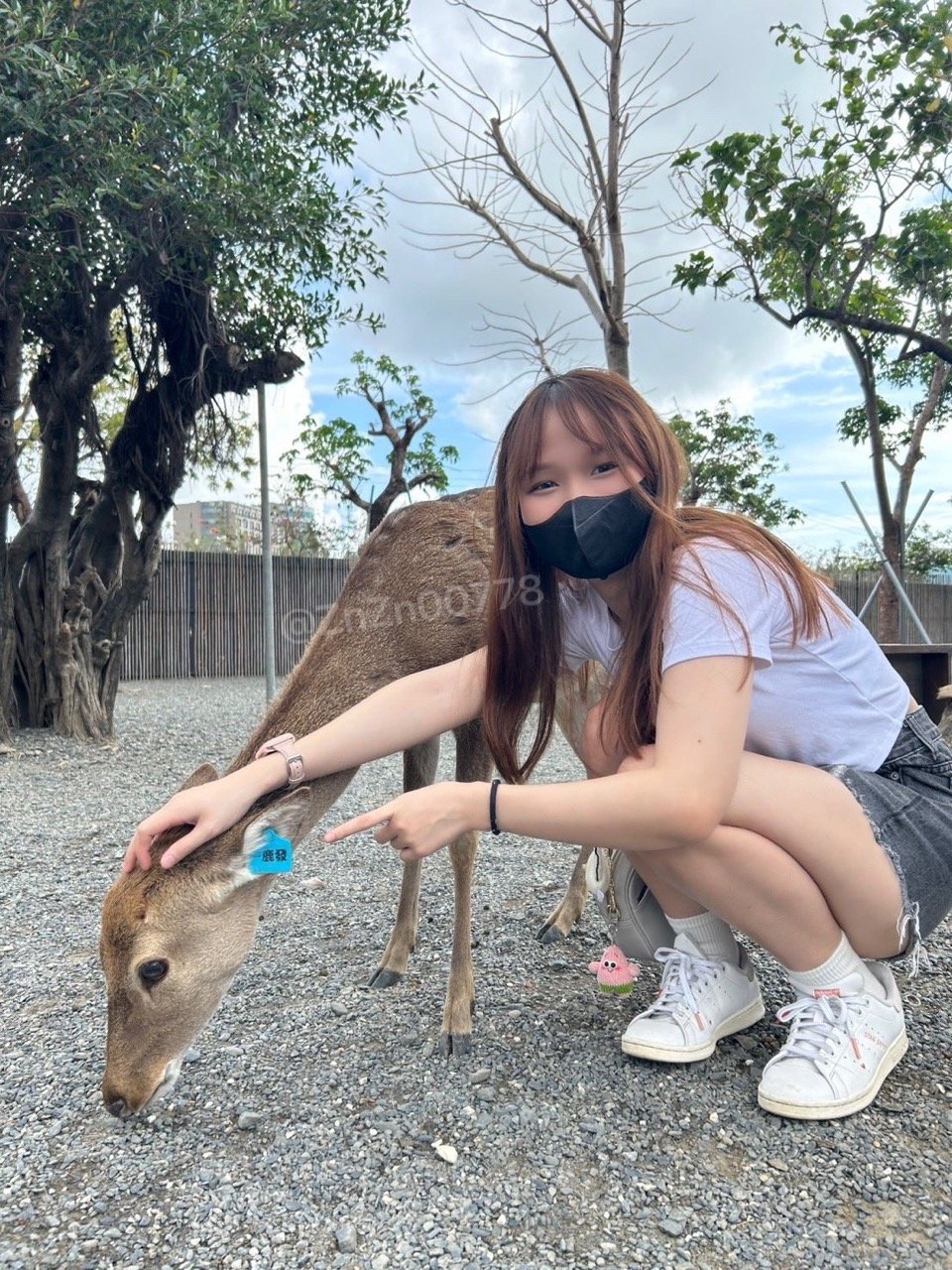 A woman wearing a black face mask, white T-shirt, black shorts, and white sneakers squats outside, petting a small deer with a blue ear tag. Bare trees and a fence are visible in the background, with a cloudy sky overhead.