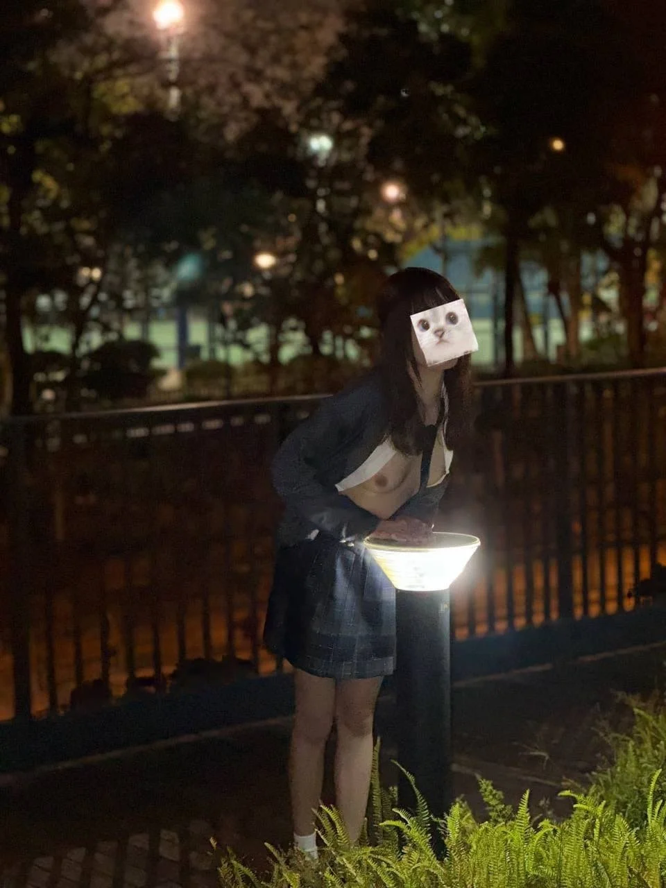 A person with a cat face mask standing at a park at night, leaning over a lit display or information board, with trees and a fence in the background.