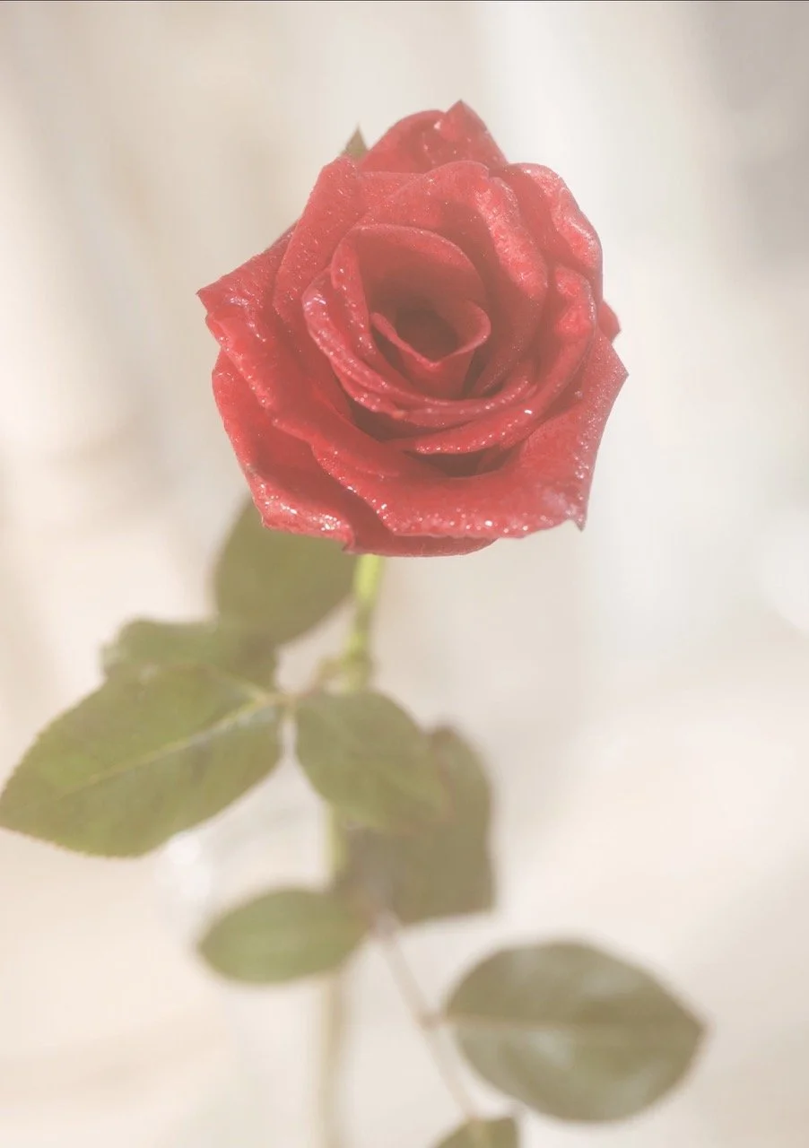 Jablehk-95_mizuki_photobook-2025-I-005 Large.jpeg