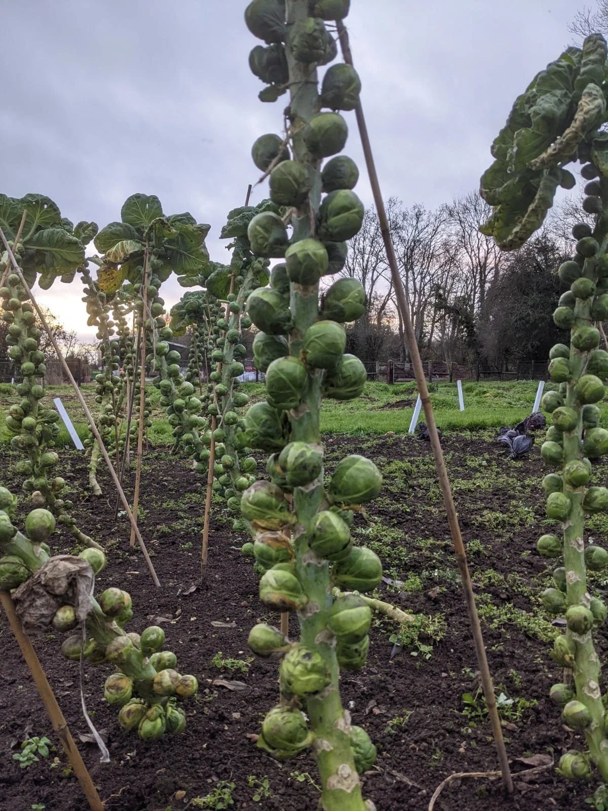 WhatsApp Image 2021-12-13 at 08.18.58 (1).jpeg