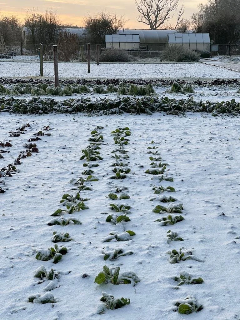 WhatsApp Image 2021-12-13 at 09.09.30.jpeg