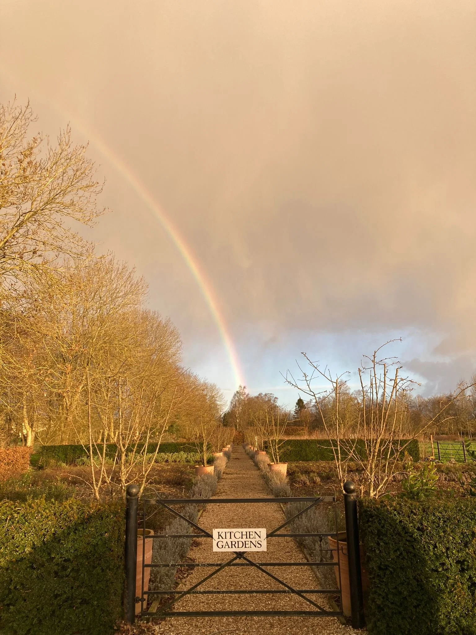 WhatsApp Image 2022-02-17 at 17.54.44.jpeg