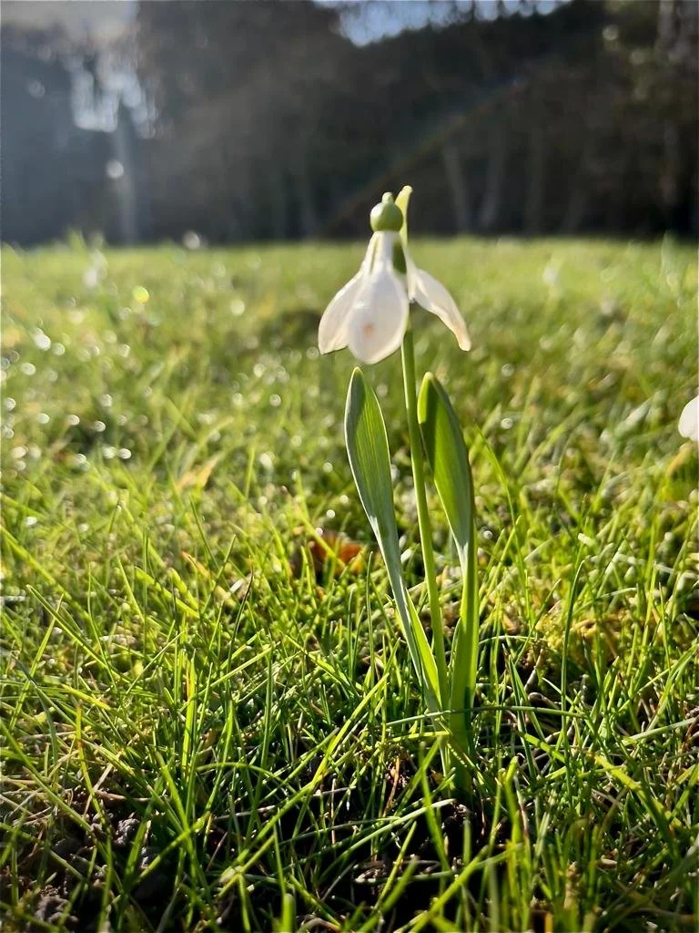 WhatsApp Image 2022-02-17 at 16.57.46.jpeg