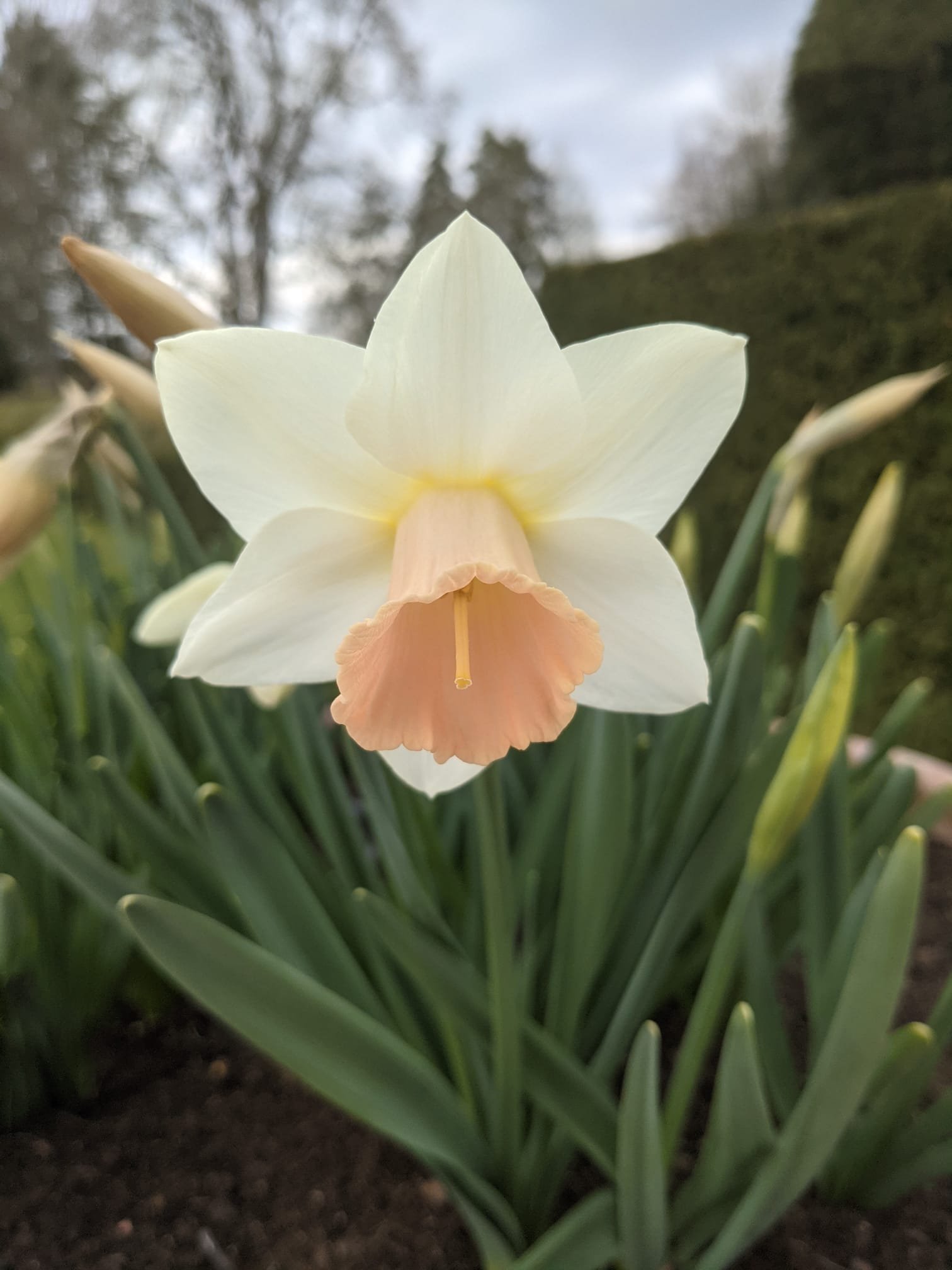 WhatsApp Image 2022-04-13 at 7.07.10 PM8.jpeg