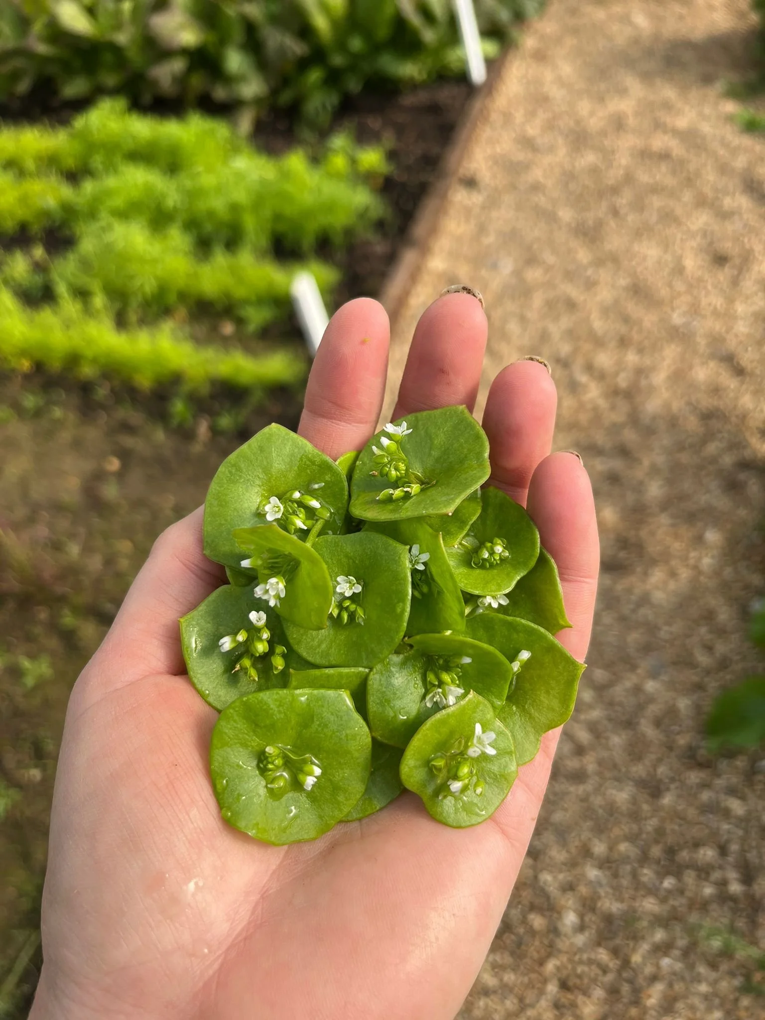 WhatsApp Image 2022-04-12 at 2.22.09 PMl.jpeg