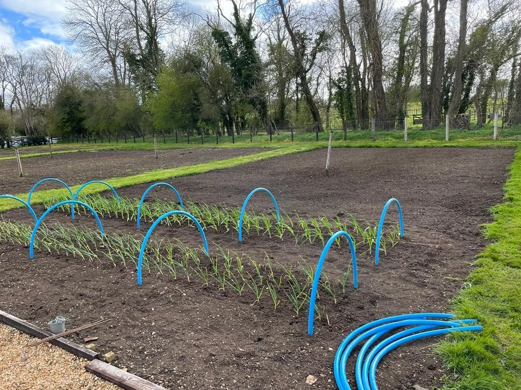 WhatsApp Image 2022-04-12 at 2.22.09 PM.jpeg