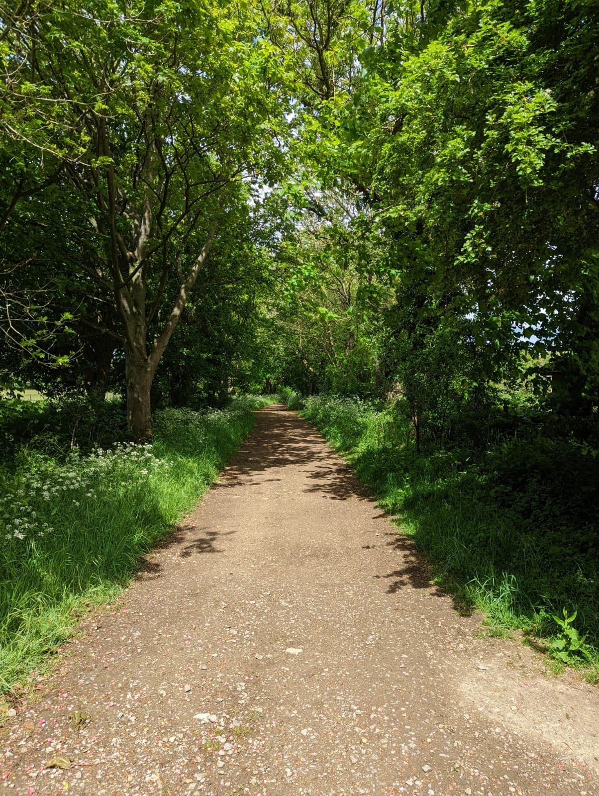 WhatsApp Image 2022-05-16 at 12.19.05 PM.jpeg