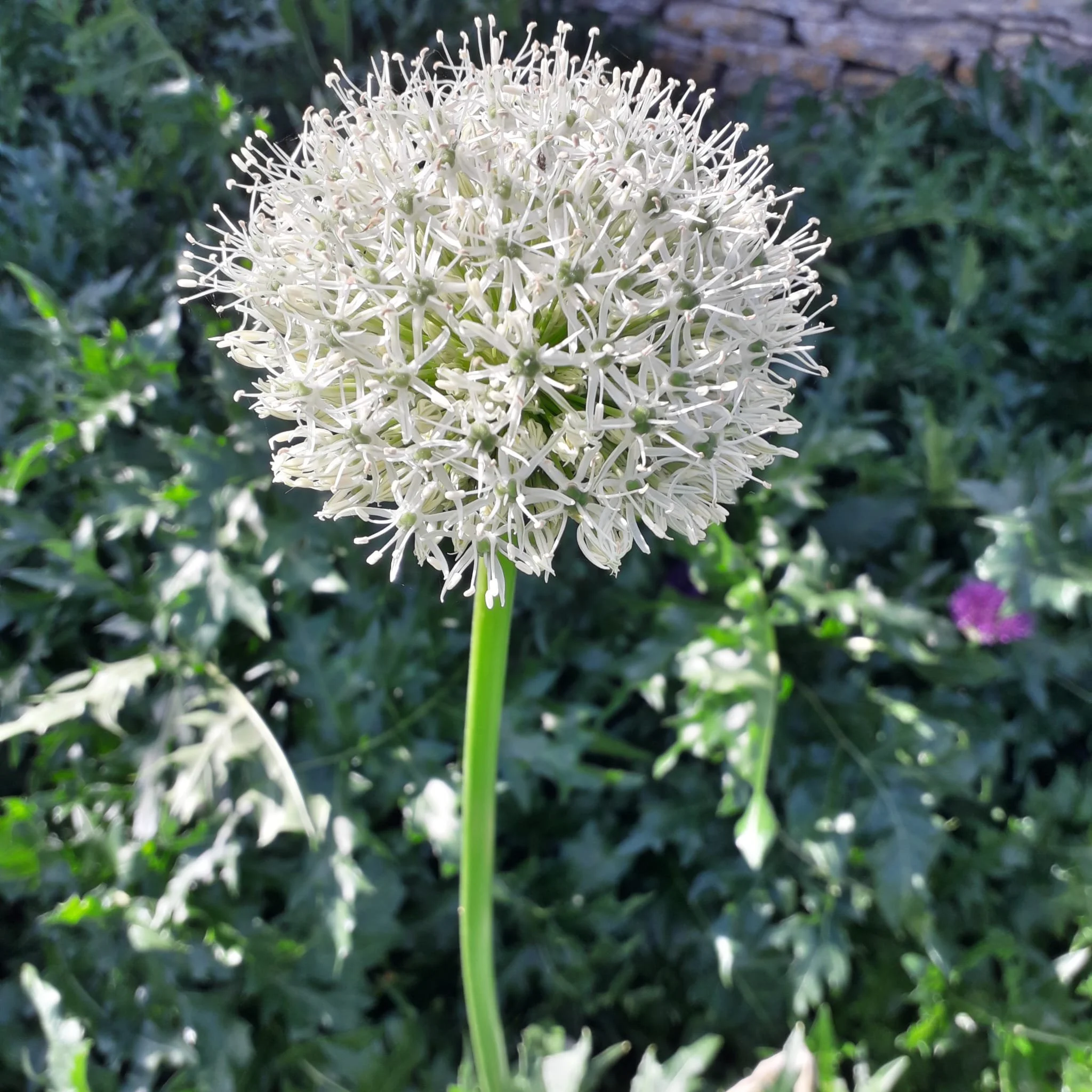 WhatsApp Image 2022-05-16 at 12.20.33 PM.jpeg