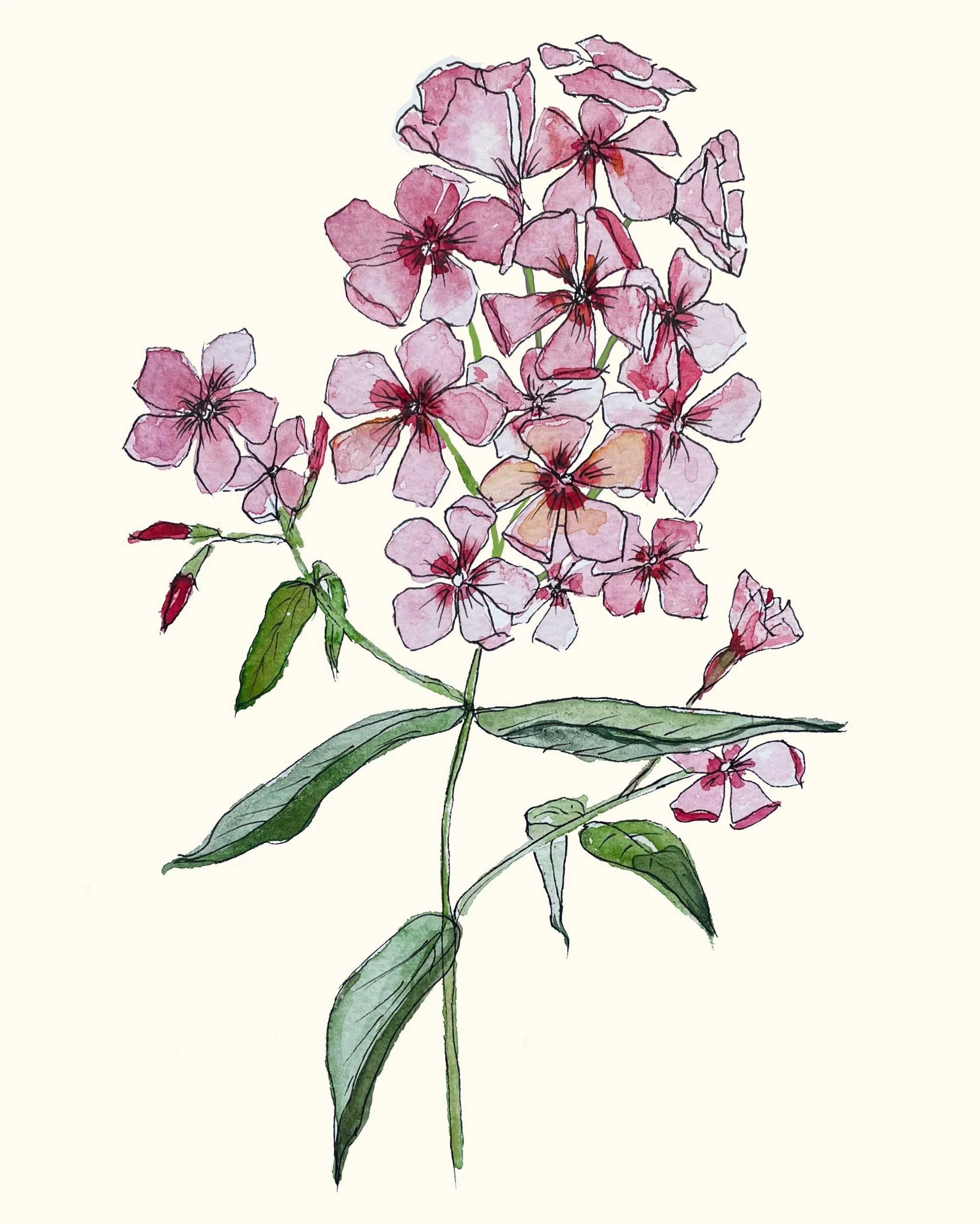 144.jpg
