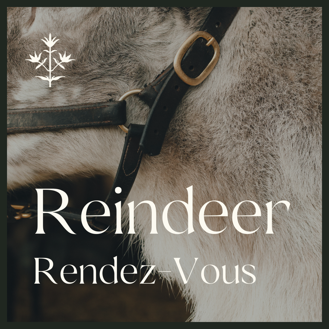 A Reindeer Rendez-Vous