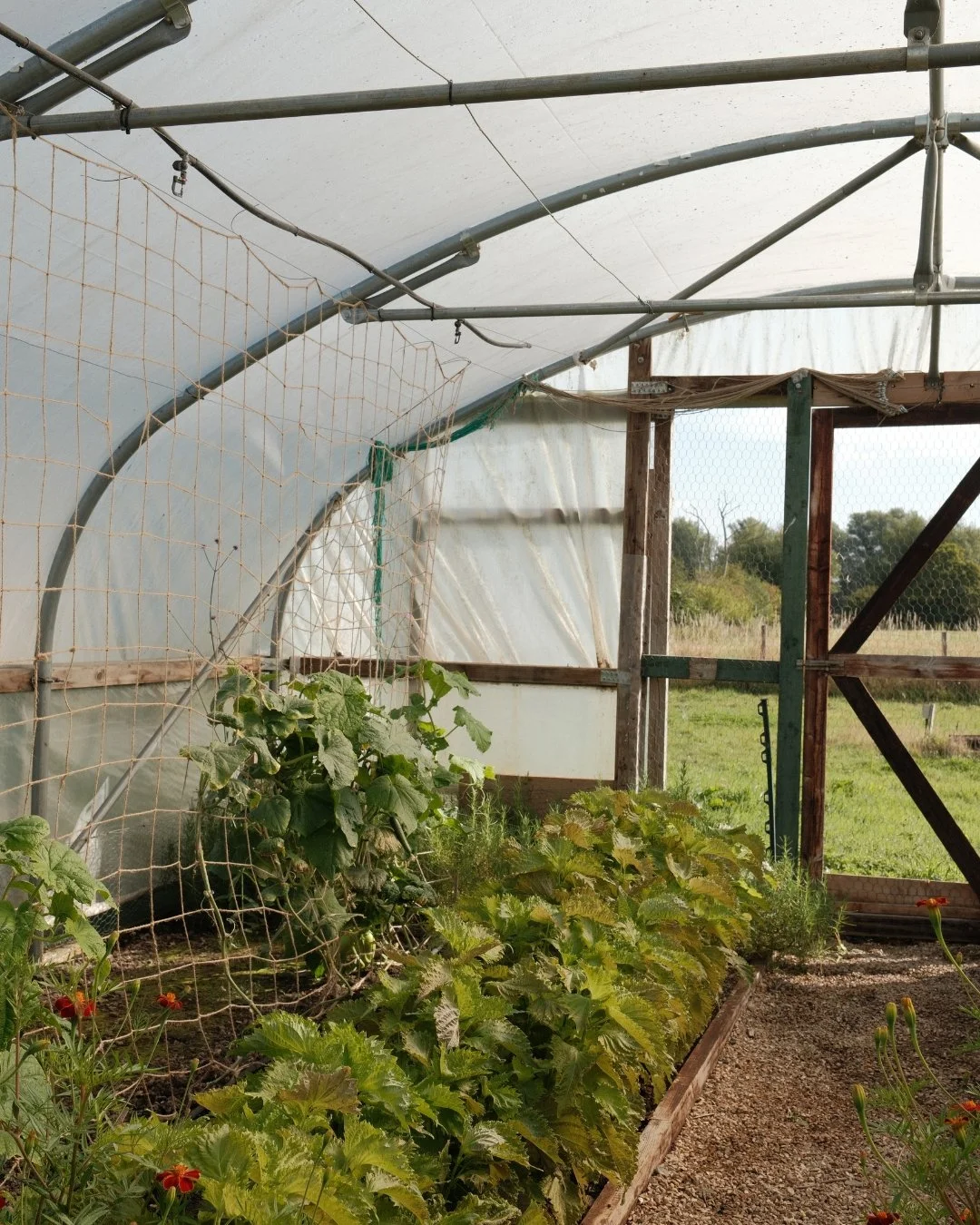 Untitled design (13).jpg