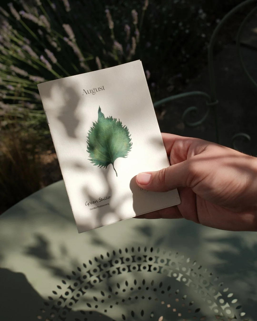 Untitled design (11).jpg