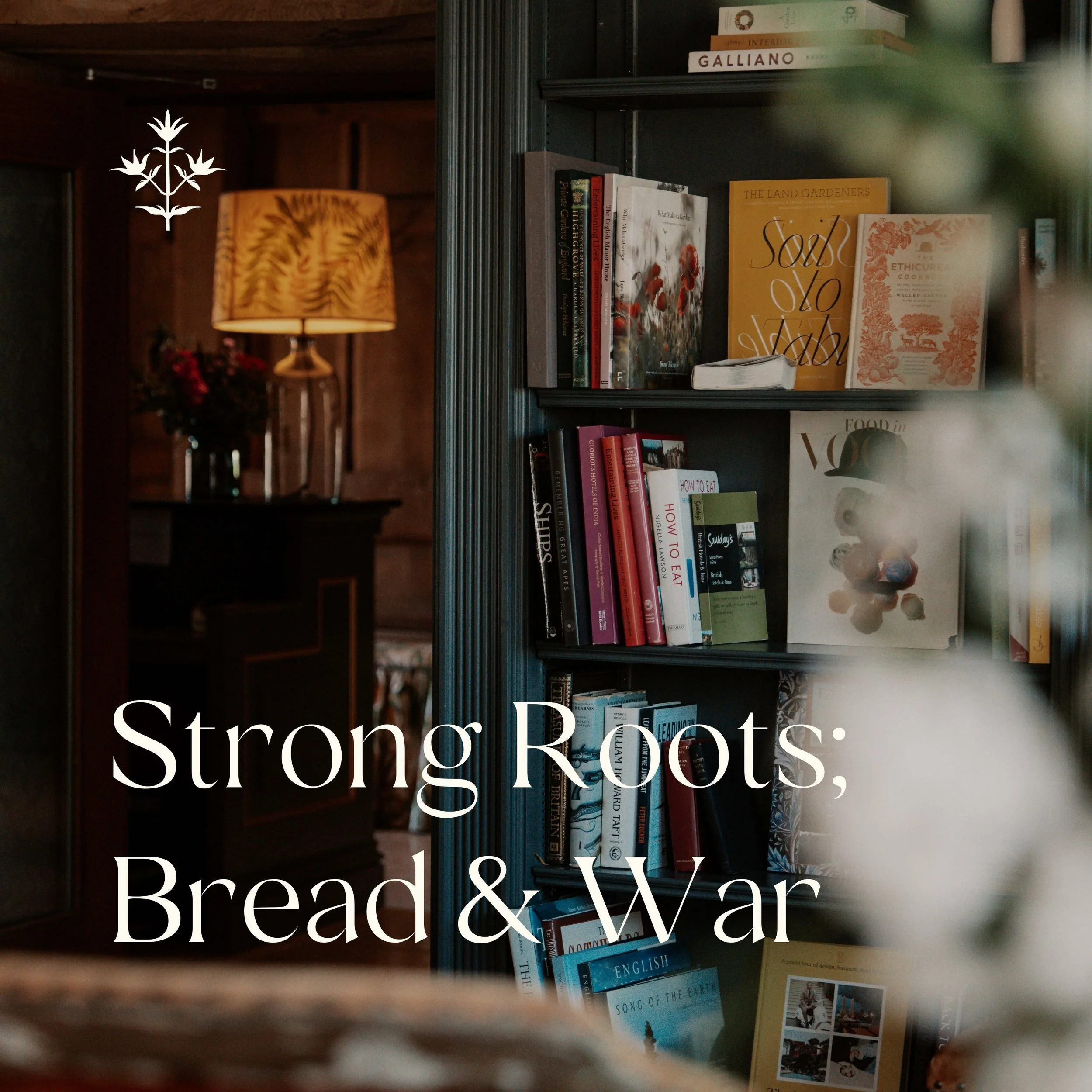 Strong Roots; Bread & War