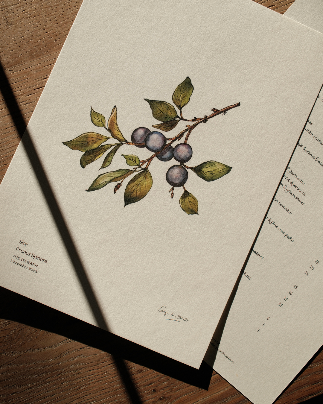 Thyme Social Posters (38).png