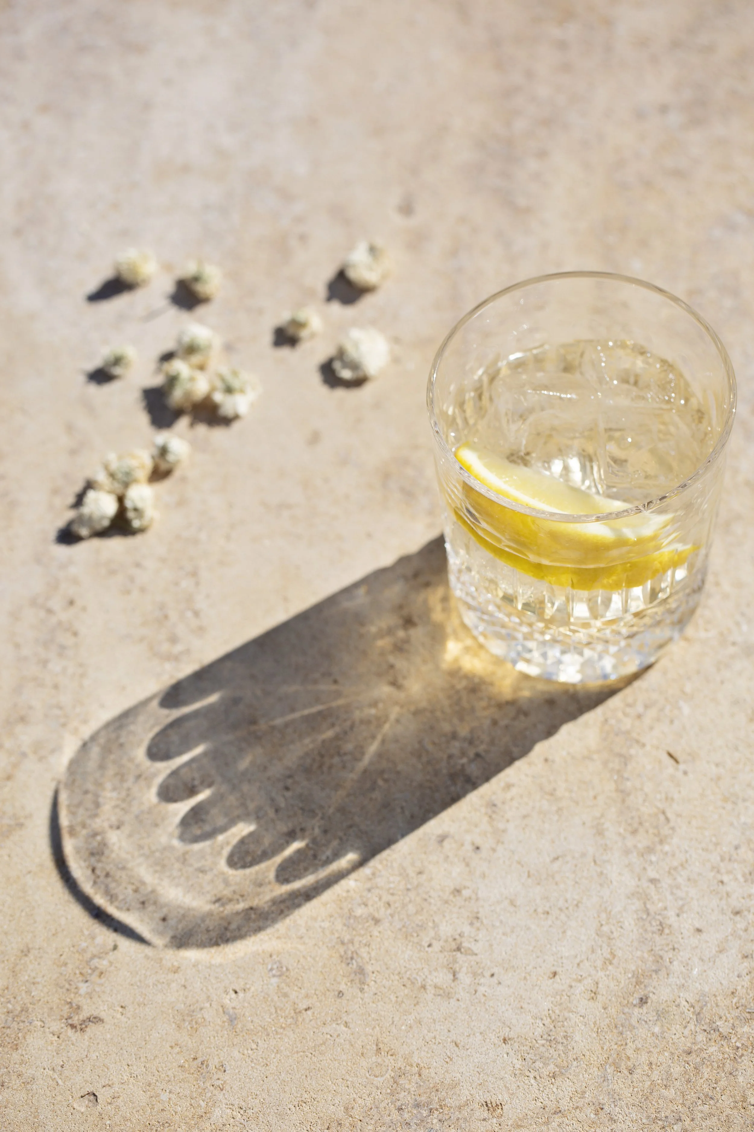 Thyme's own vermouth & soda by Kirstie Young HR (2).jpg