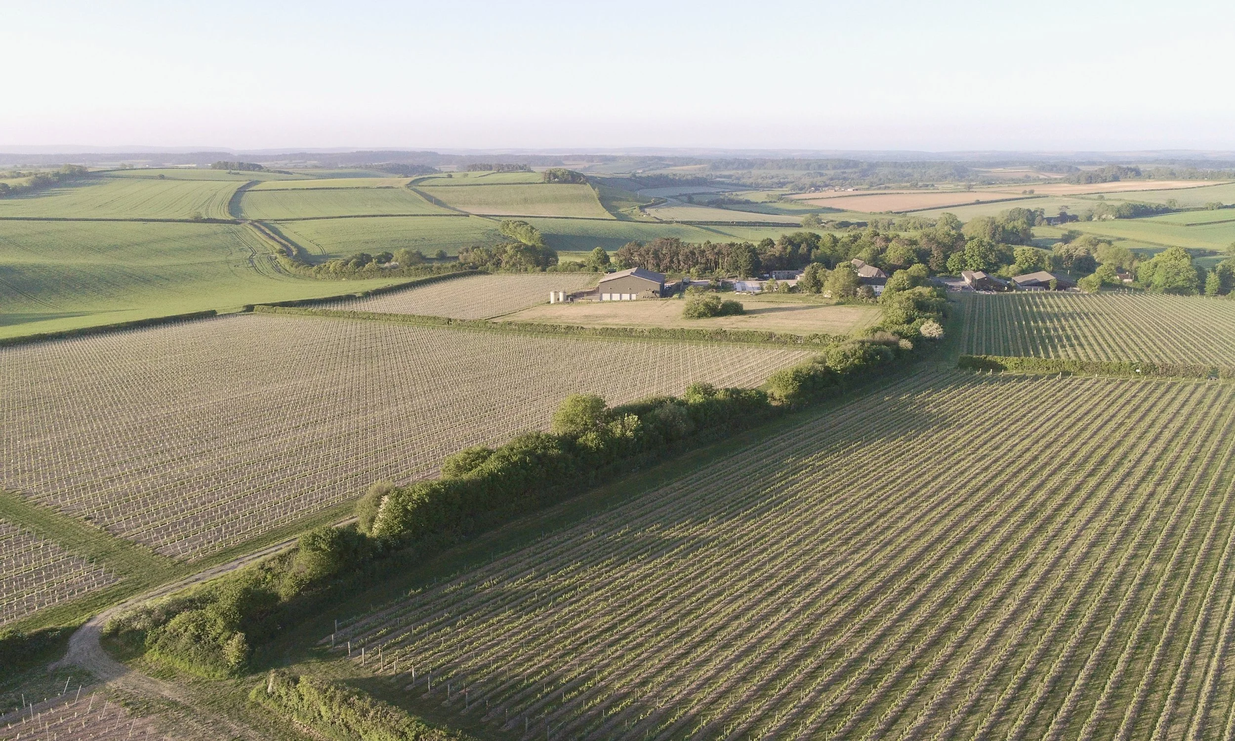 Image Banners (36).jpg