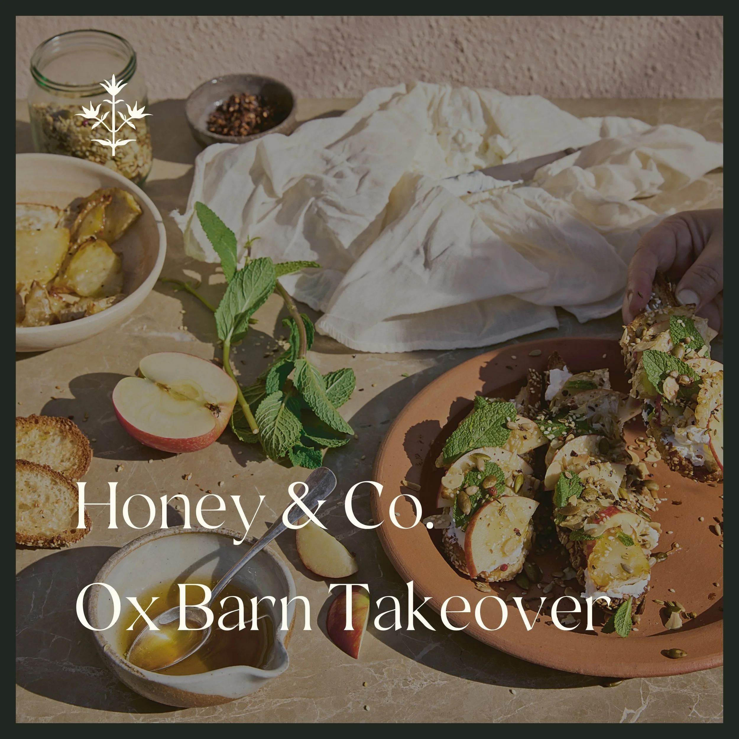 Honey &amp; Co. Ox Barn Restaurant Takeover