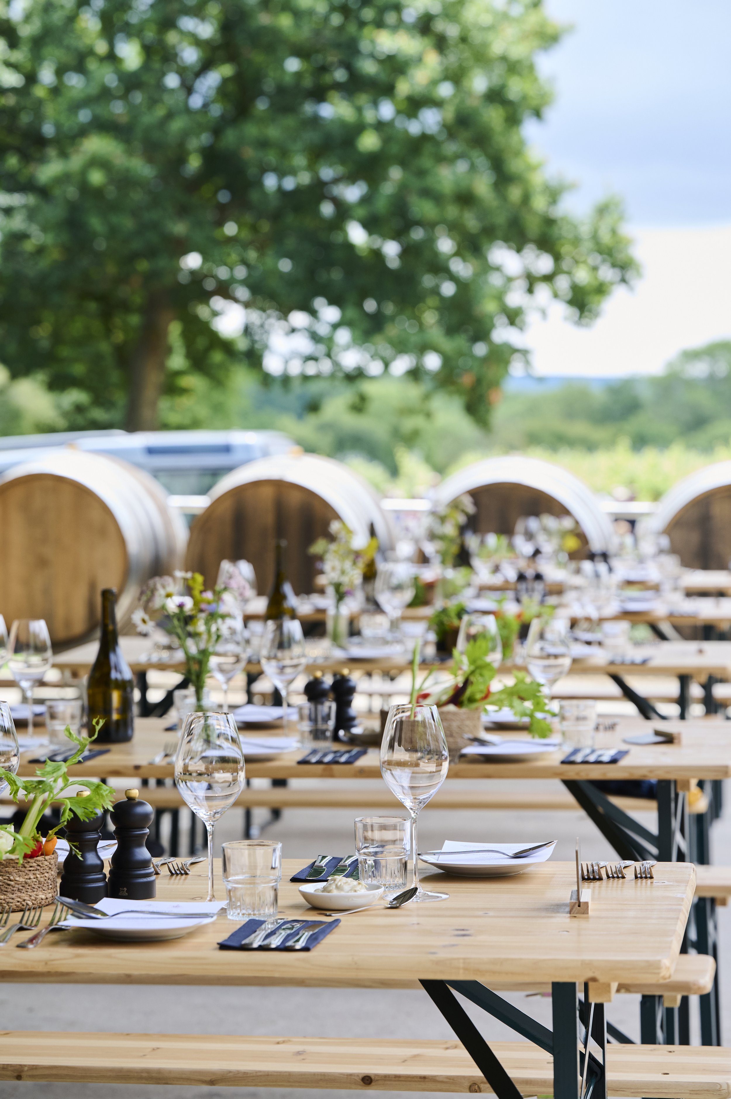 Sugrue x Ben Tonks_©SarahWeal_484.jpg