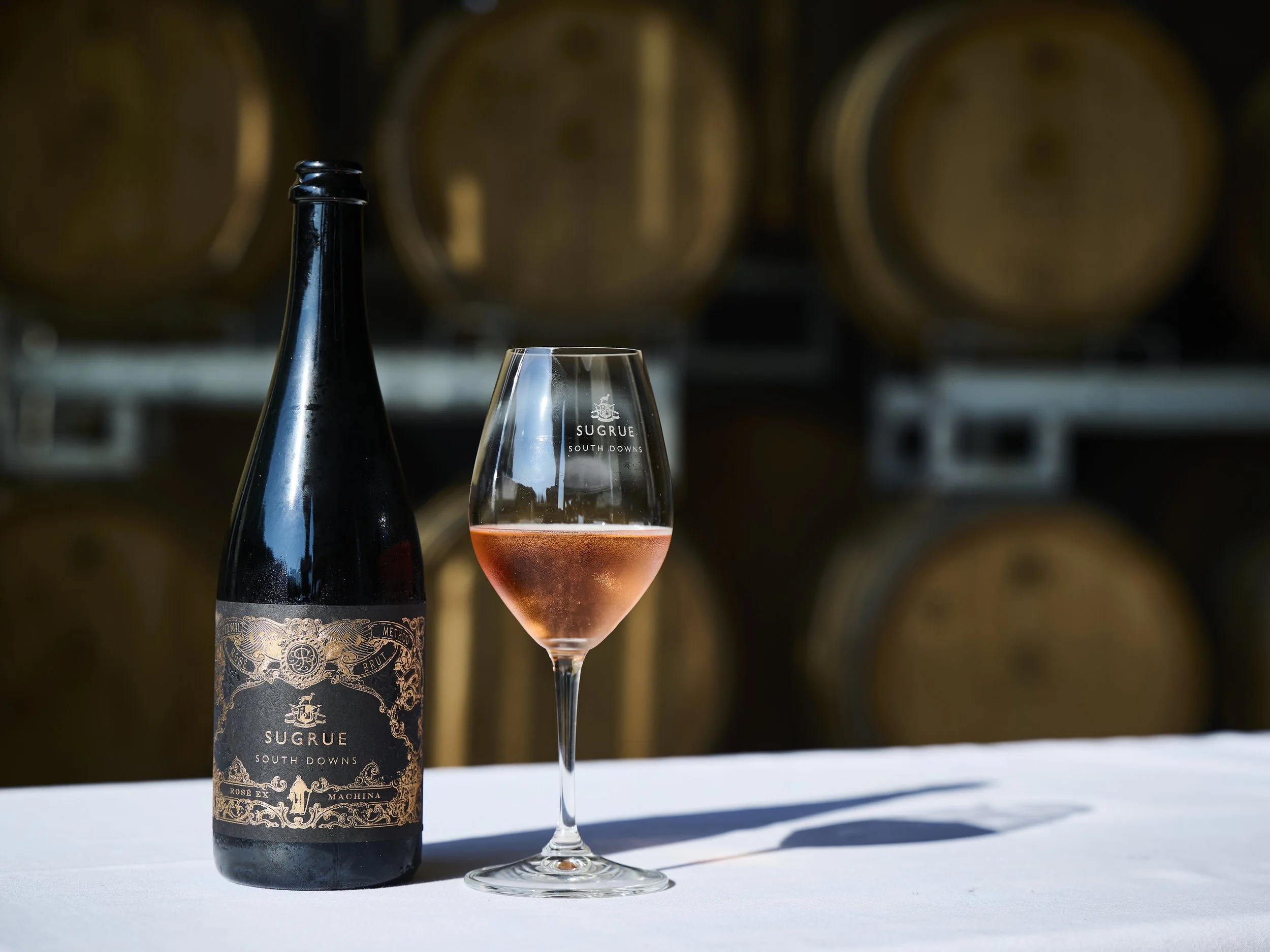 Sugrue Launch_©SarahWeal_1267.jpg