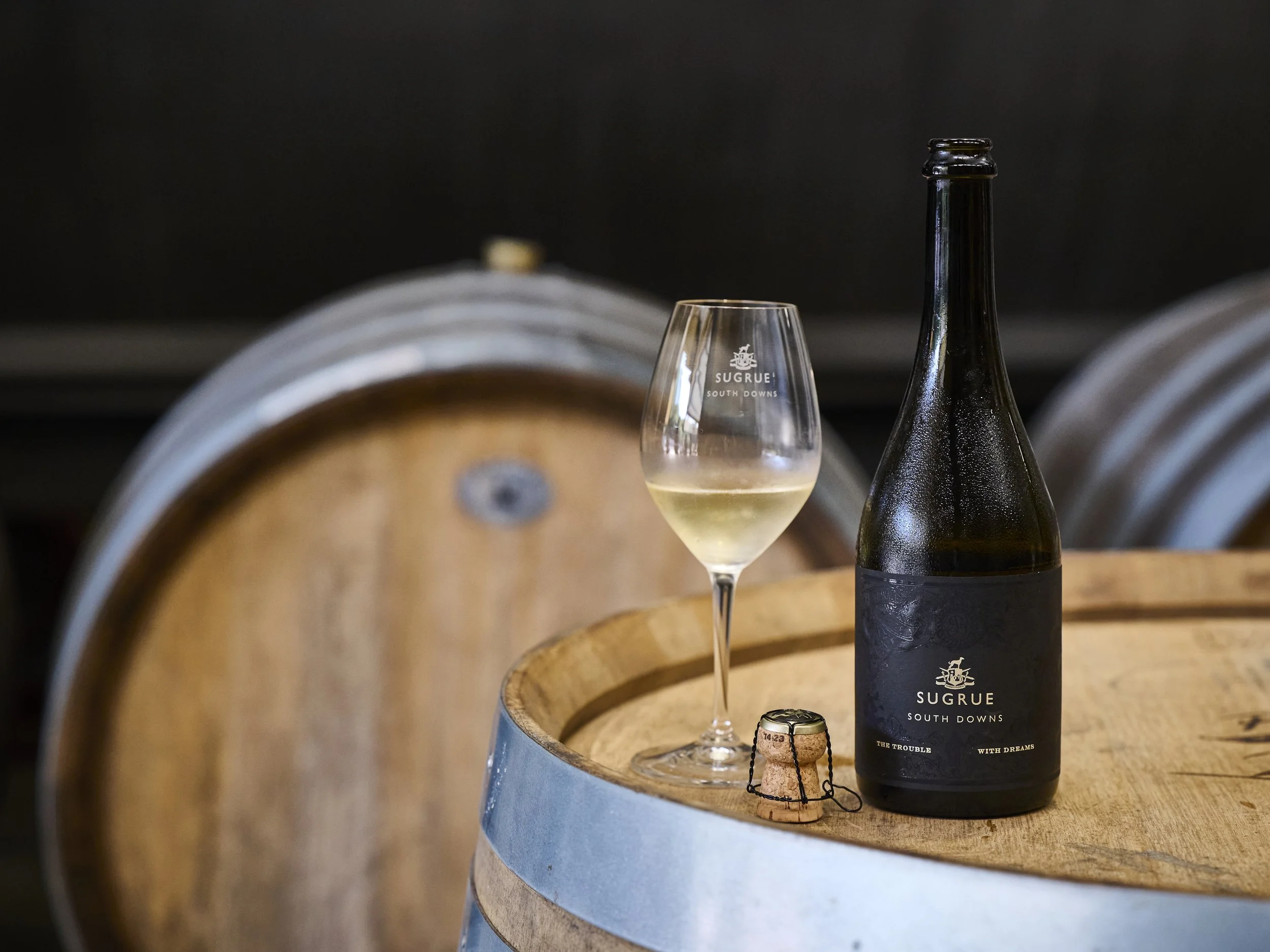 Sugrue Launch_©SarahWeal_1232.jpg