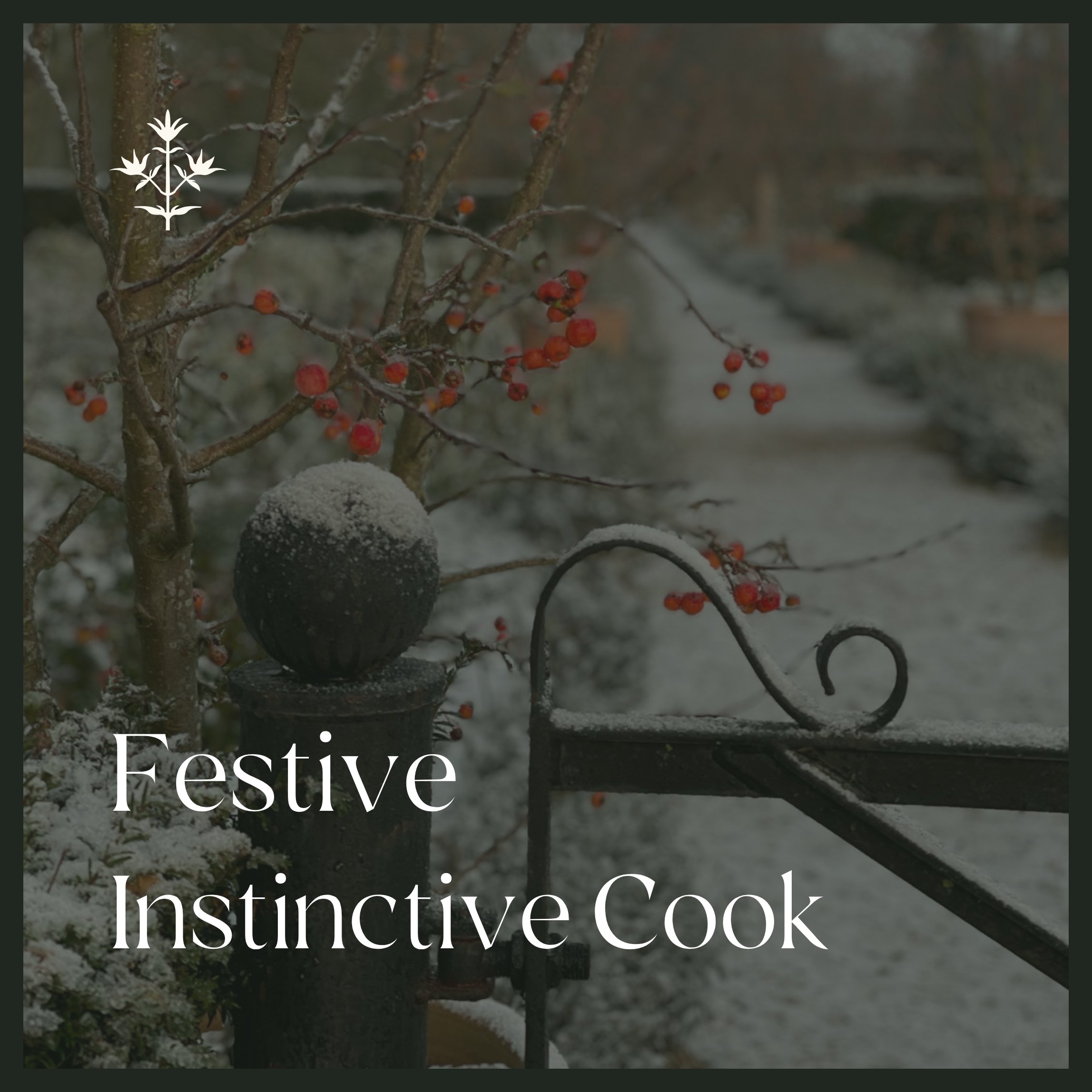 Festive Instinctive Cook