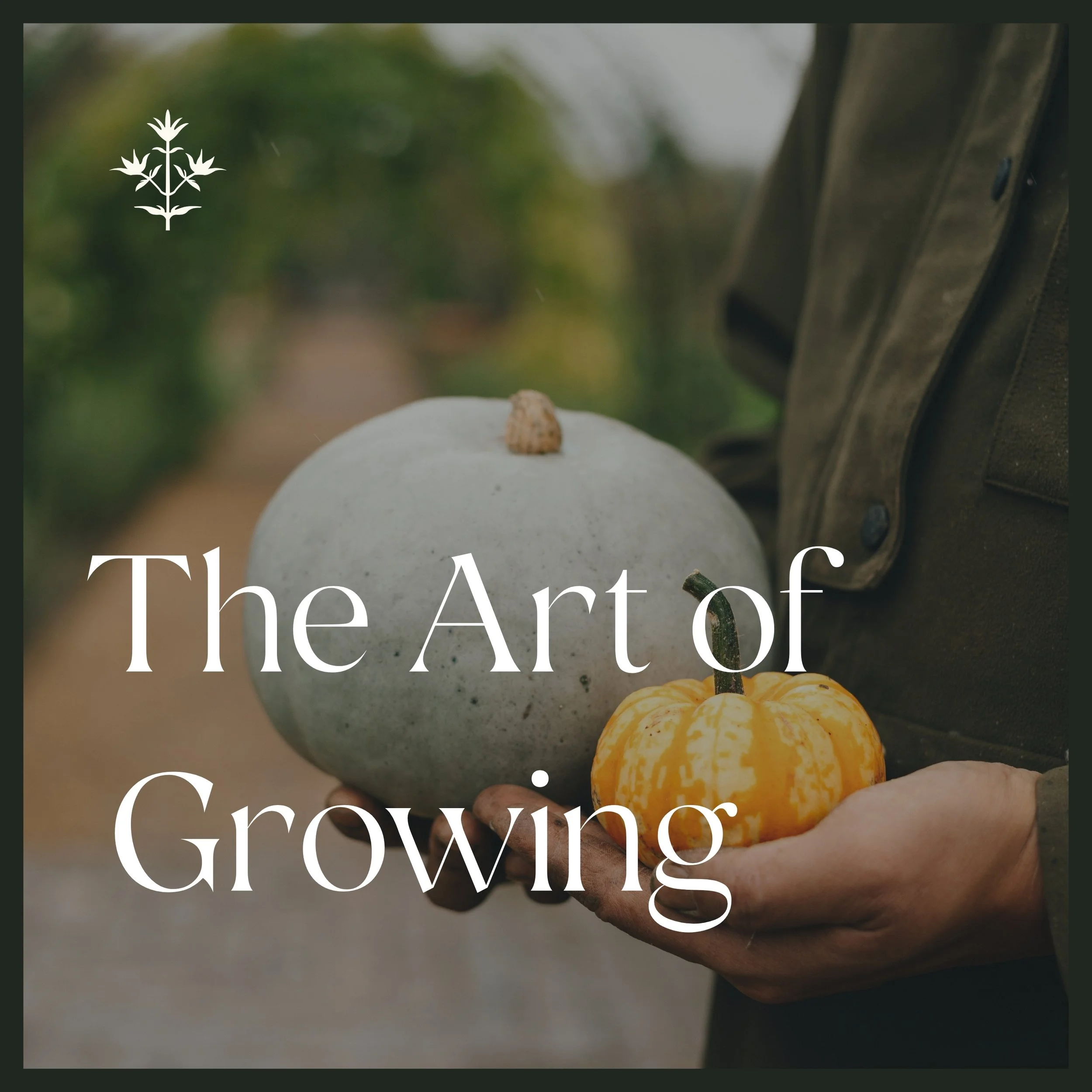 The Art of Growing
