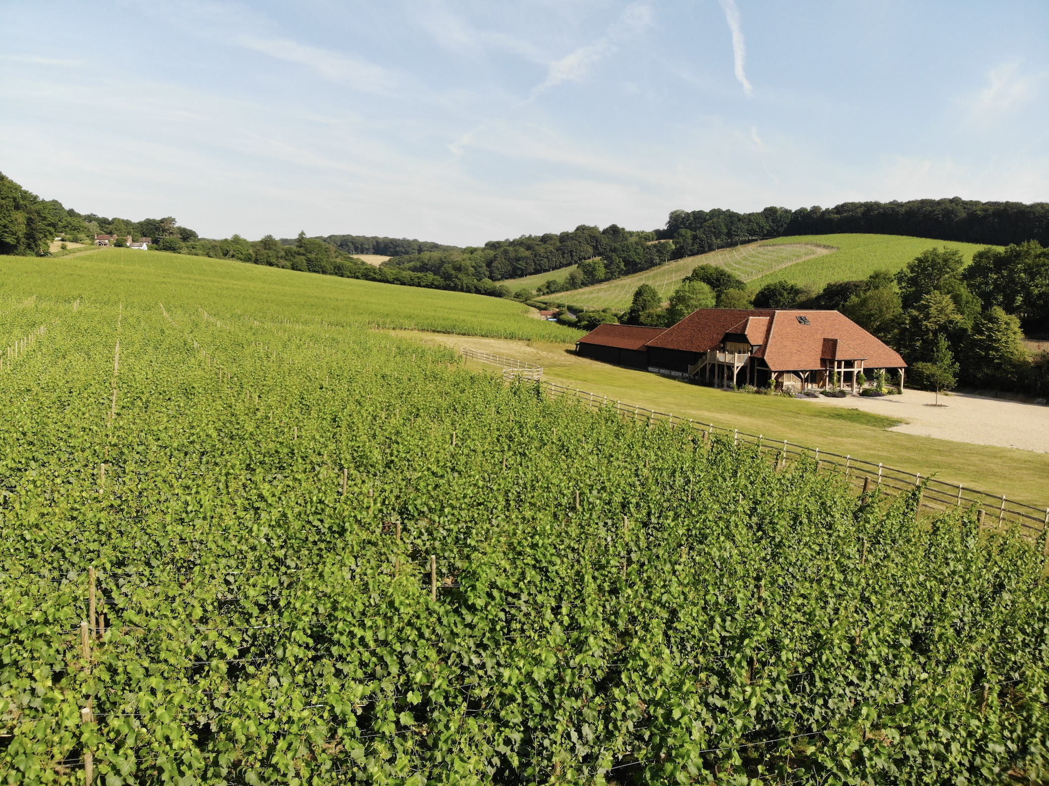 Hundred Hills Vineyards.png