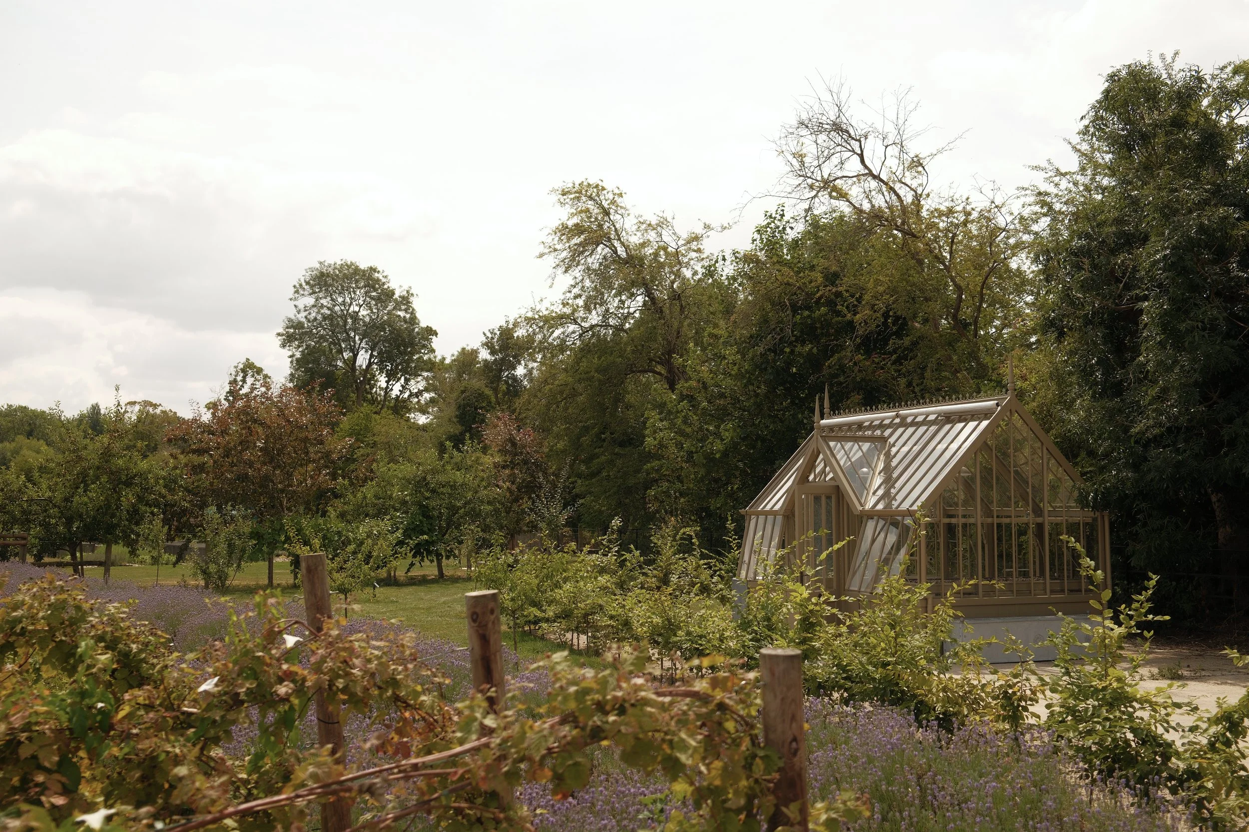 A Summer in Garden with Alitex