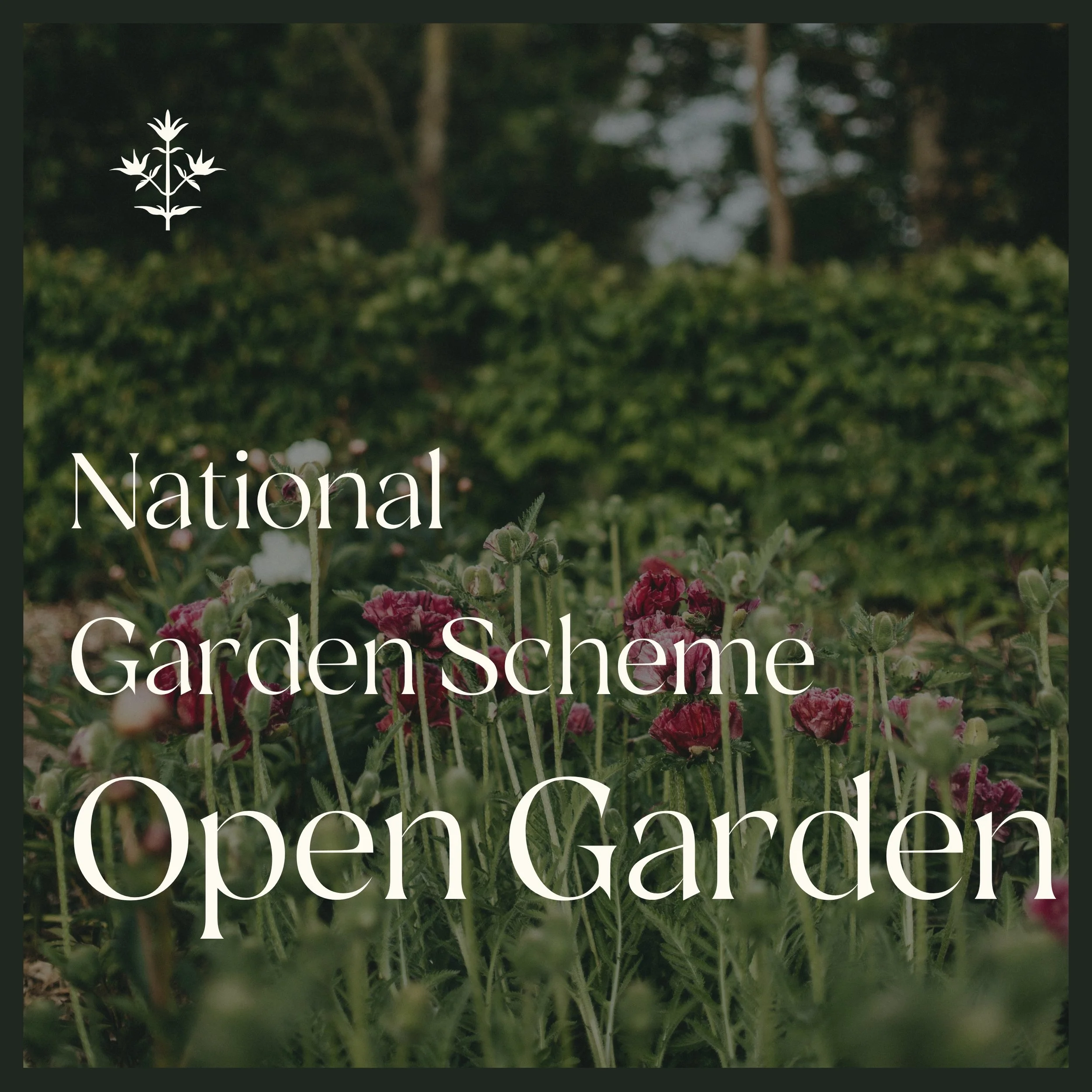 National Garden Scheme Open Garden