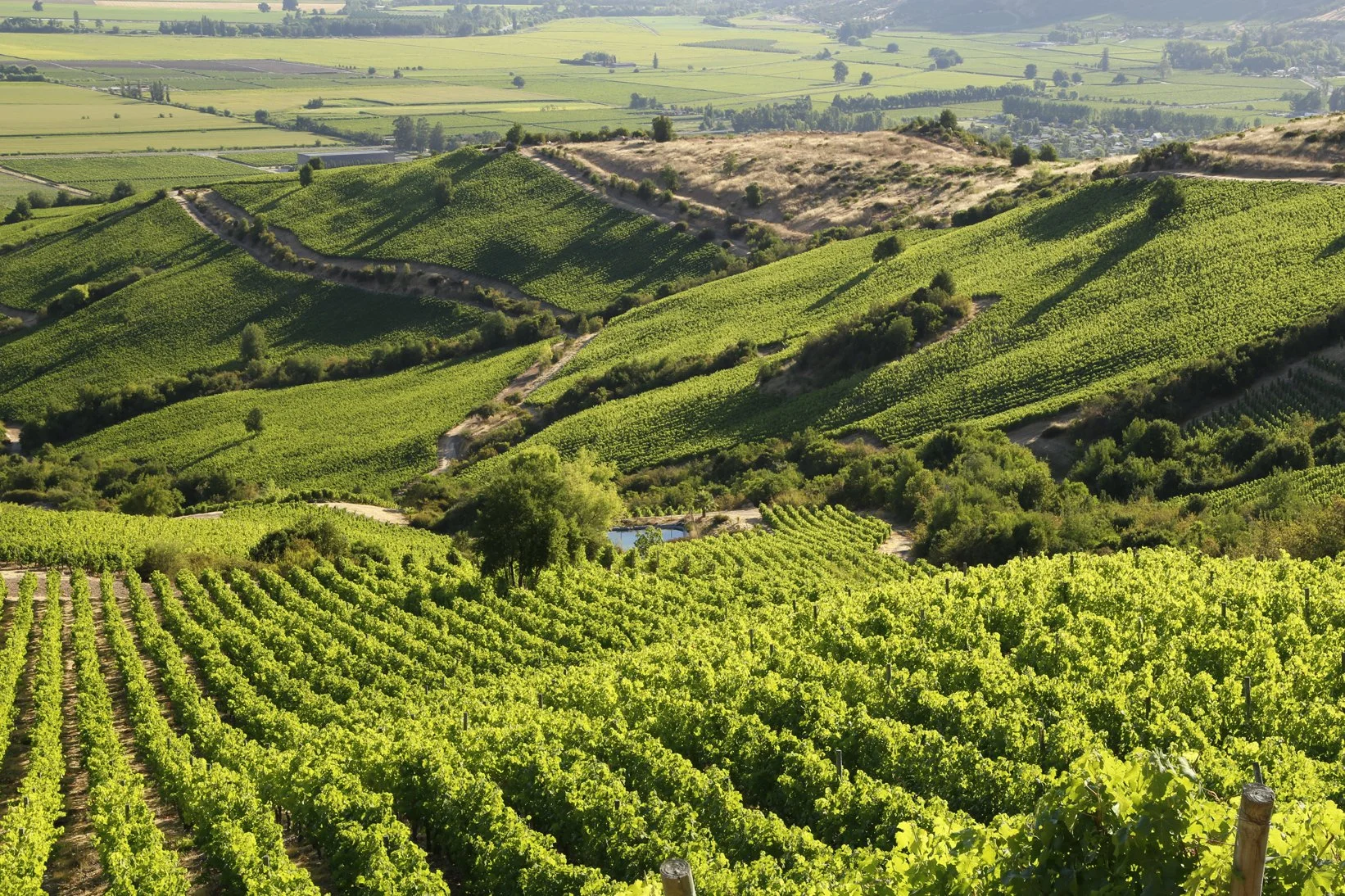 Montes (9).jpg