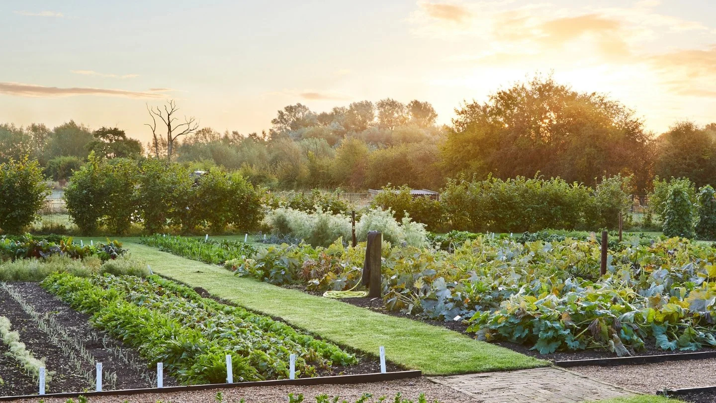 COTSWOLDS.COM IMAGES (1).jpg
