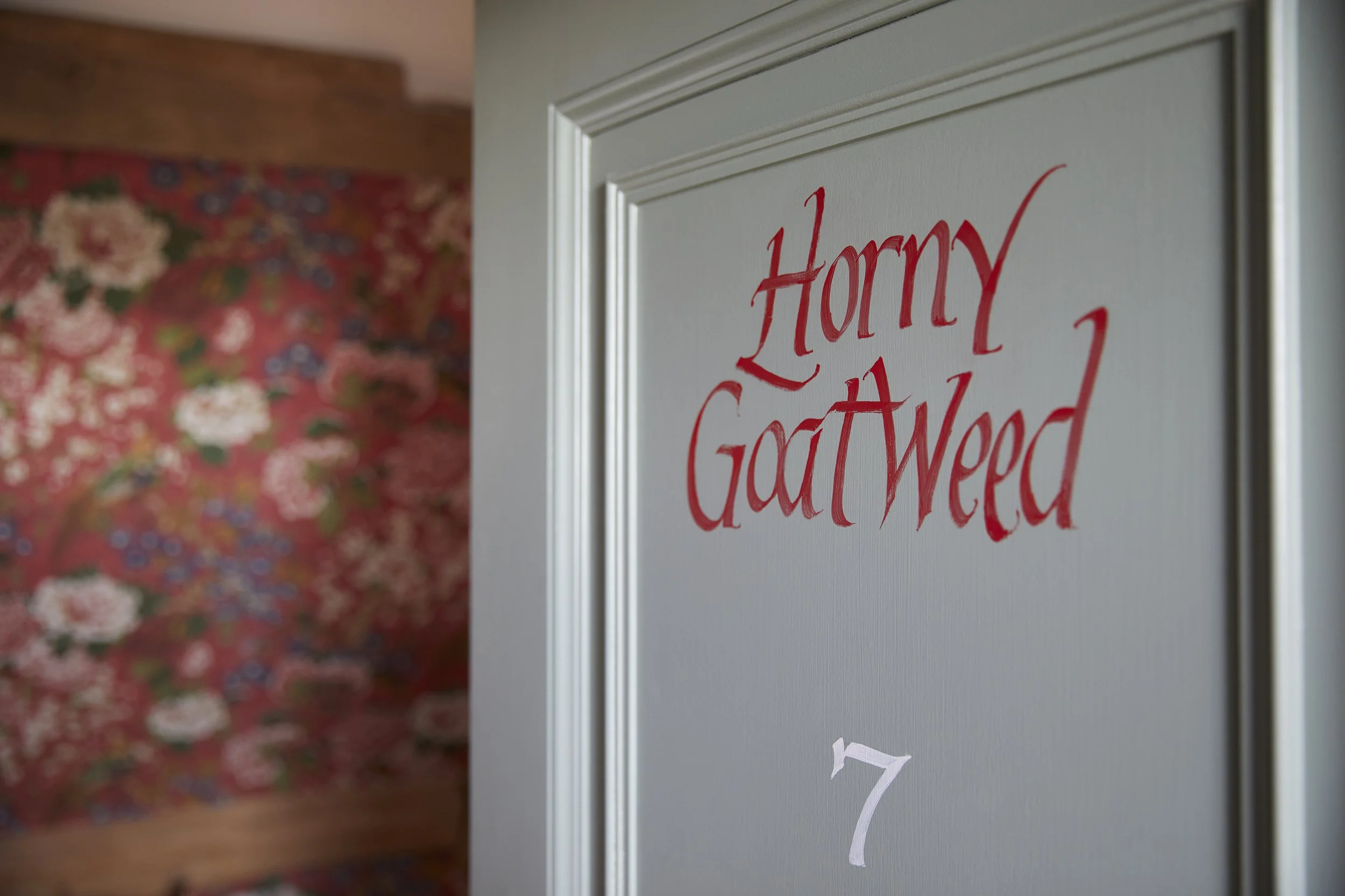 Katrina Lawson Johnston - Shot 10_Horny_Goatweed_053.jpg