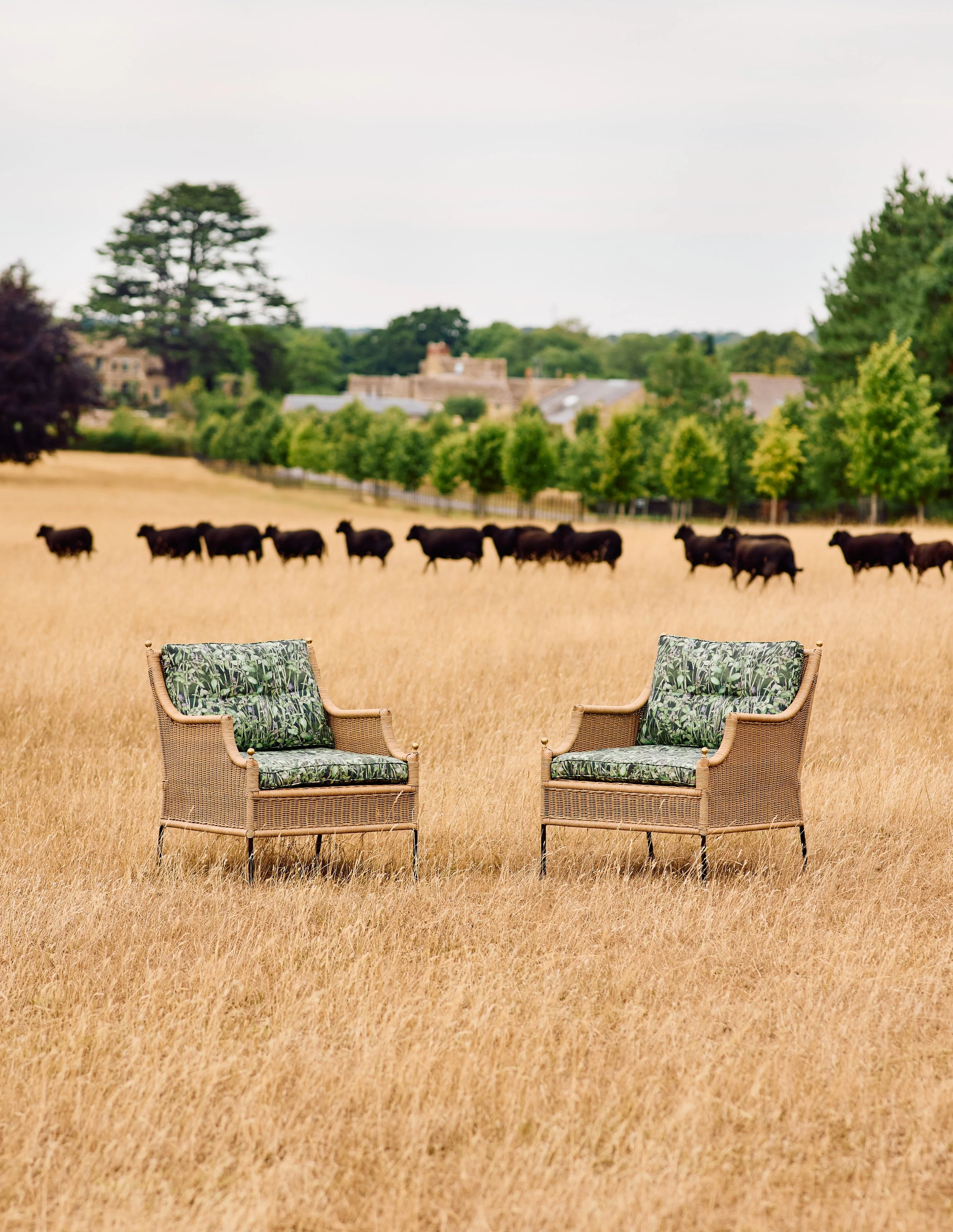 Calendar of Happenings