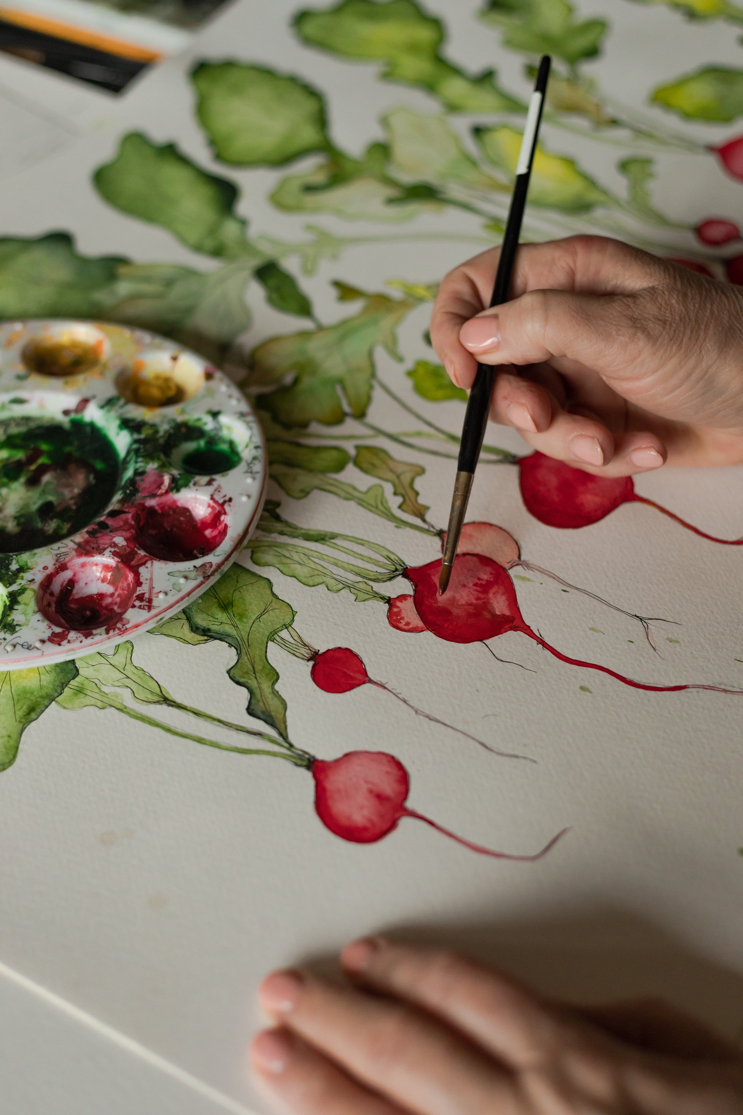 CarynHibbert-Painting-Radish-FreddieEllams-2 (1).jpg