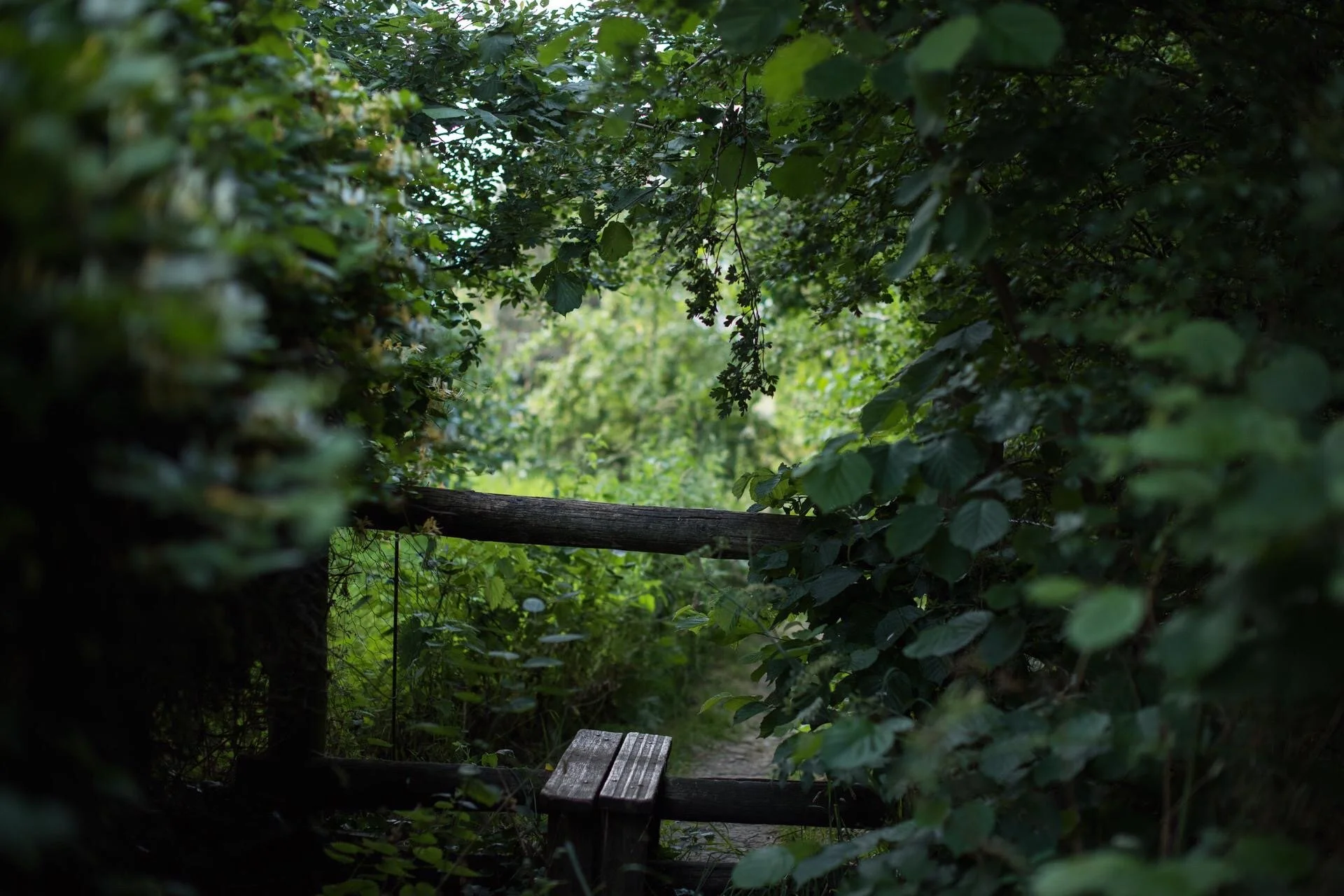 Borrow wellies and head out for a country walk through the rolling hills and meandering valleys of the Cotswolds. 