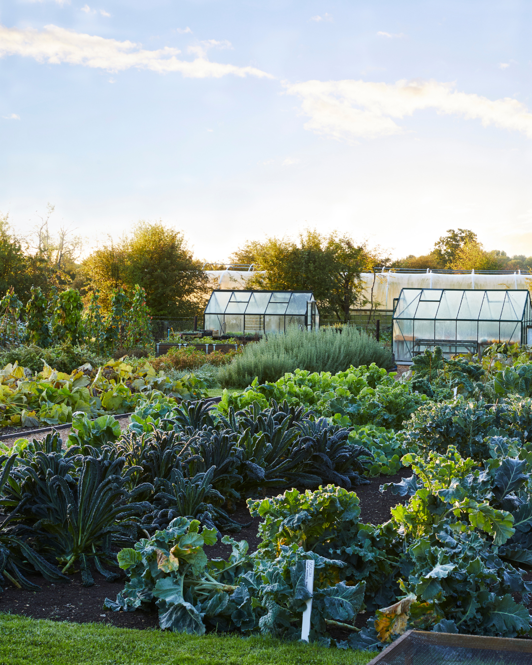 Social Posters 2.0 (21).png