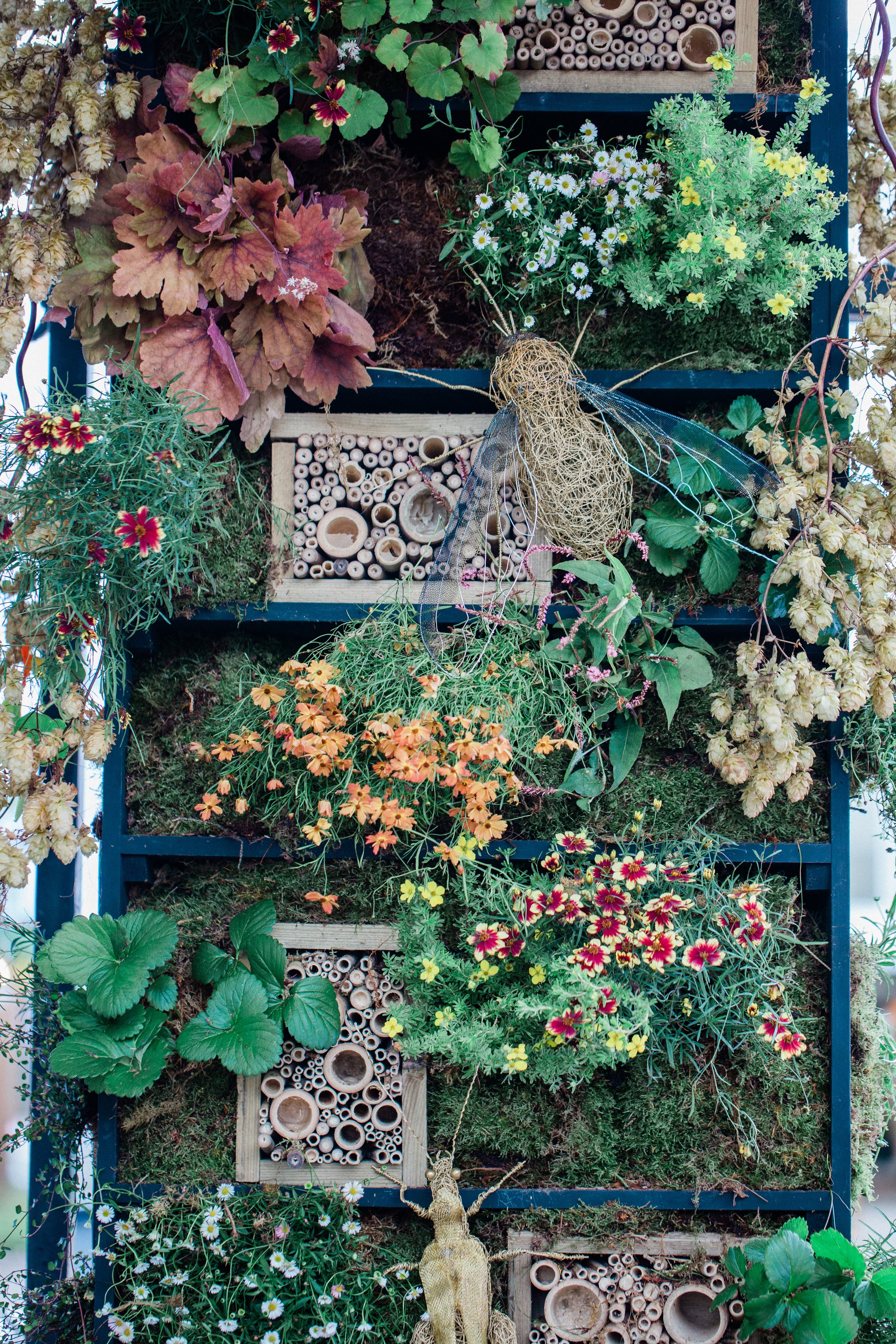 The Nature of Thyme by JamJar Flowers at the Bull Ring Gate RHS Chelsea Flower Show, photo credit Rona Wheeldon (3).jpeg