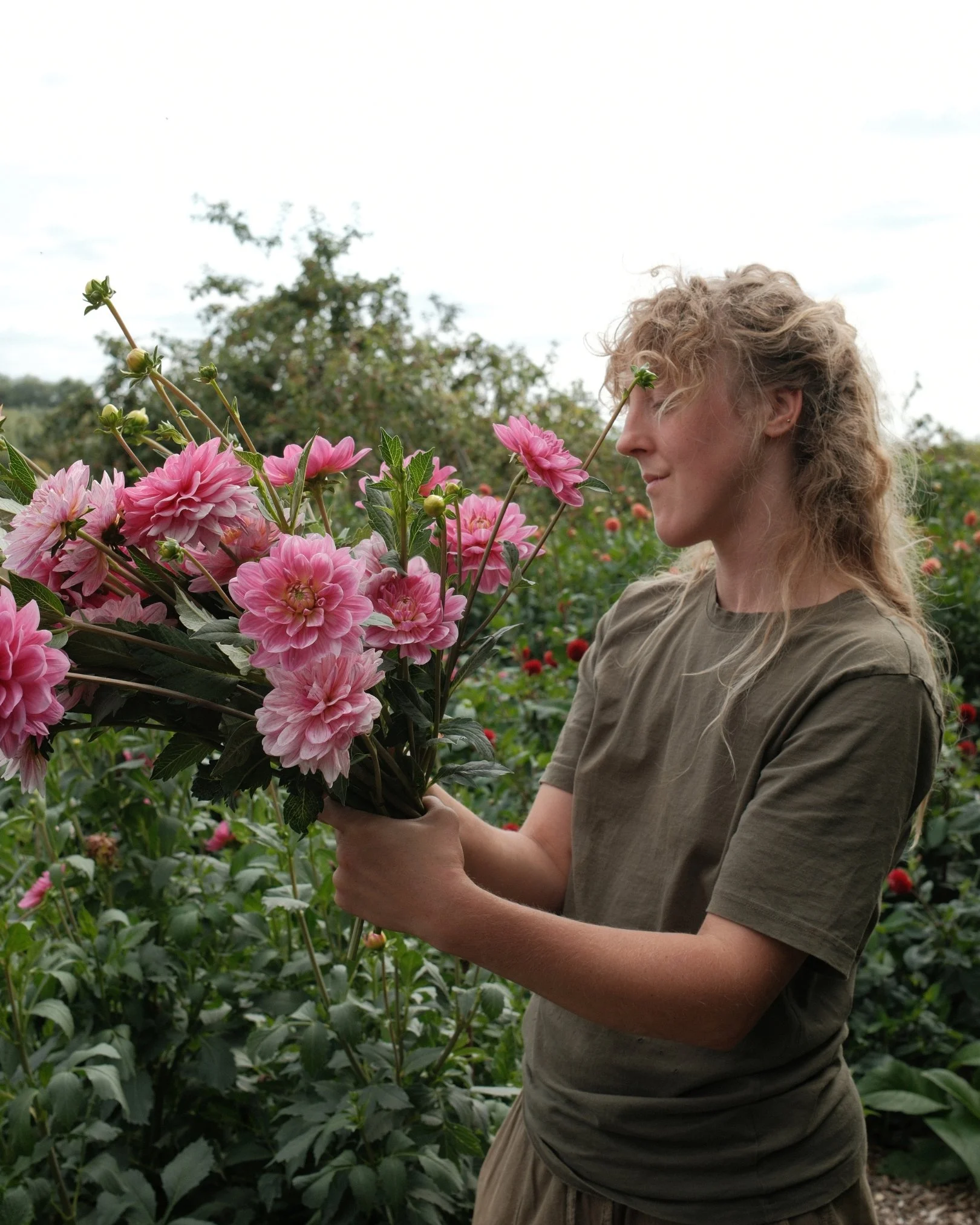 Bertioli Social Posters (21).jpg