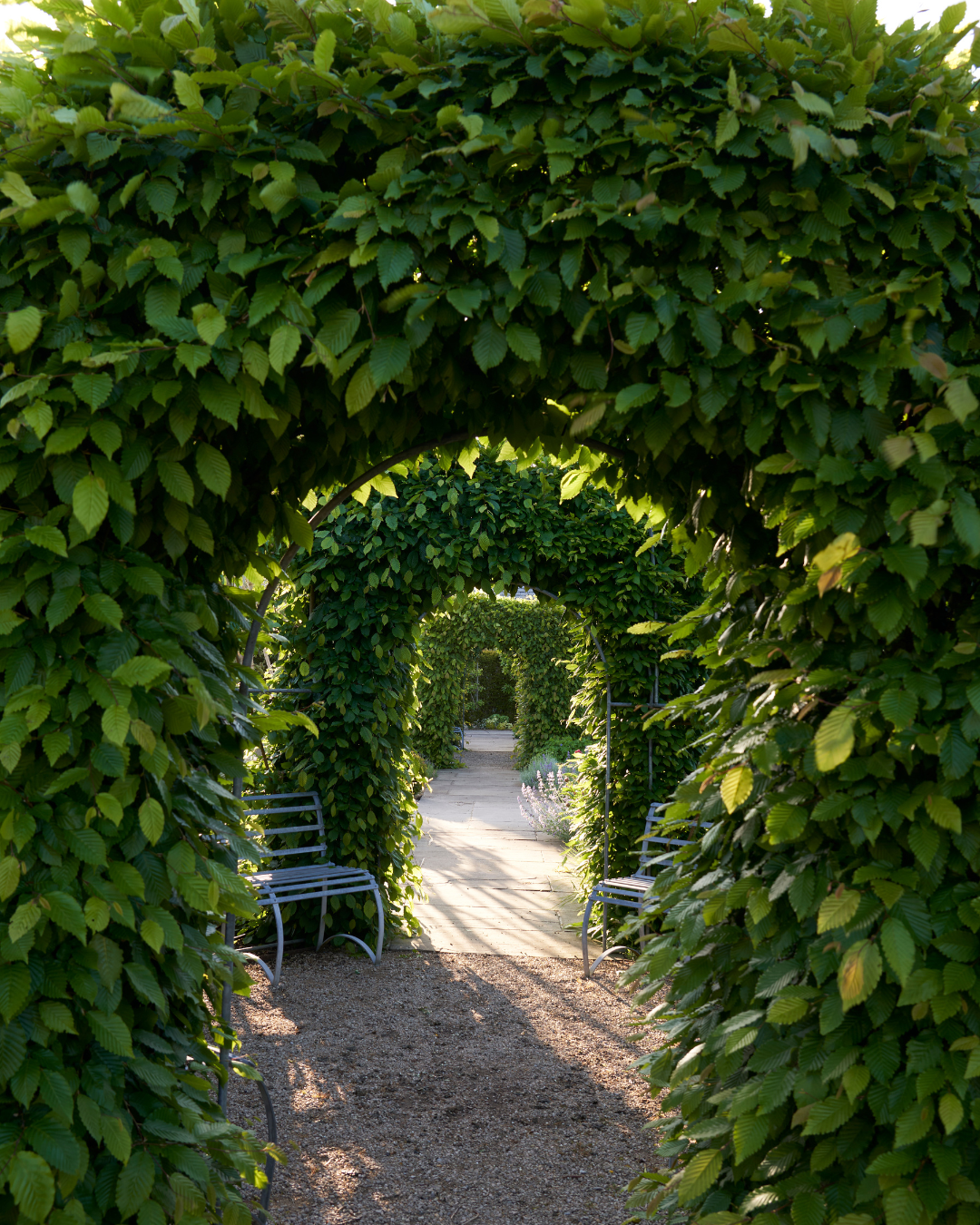 Thyme Social Posters (60).png