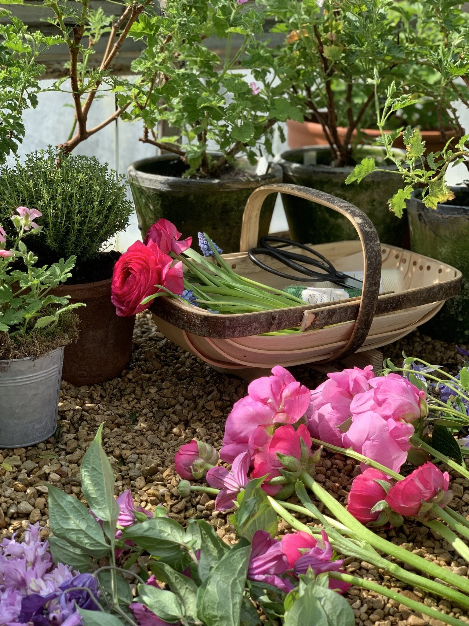 Private Classes & Workshops