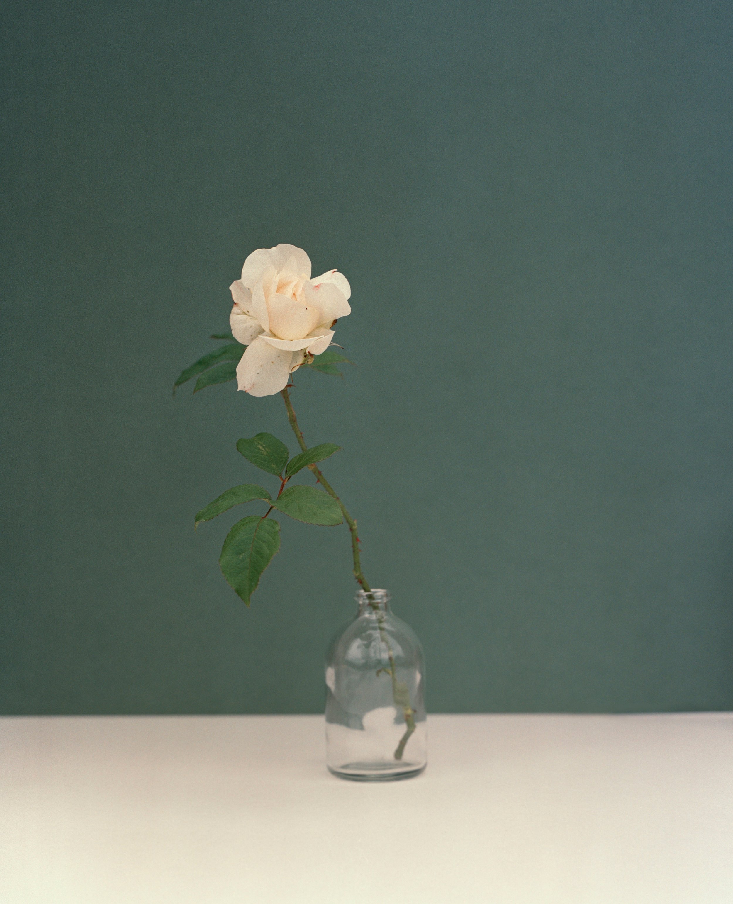 sRGB_JOHN PAWSON.jpg