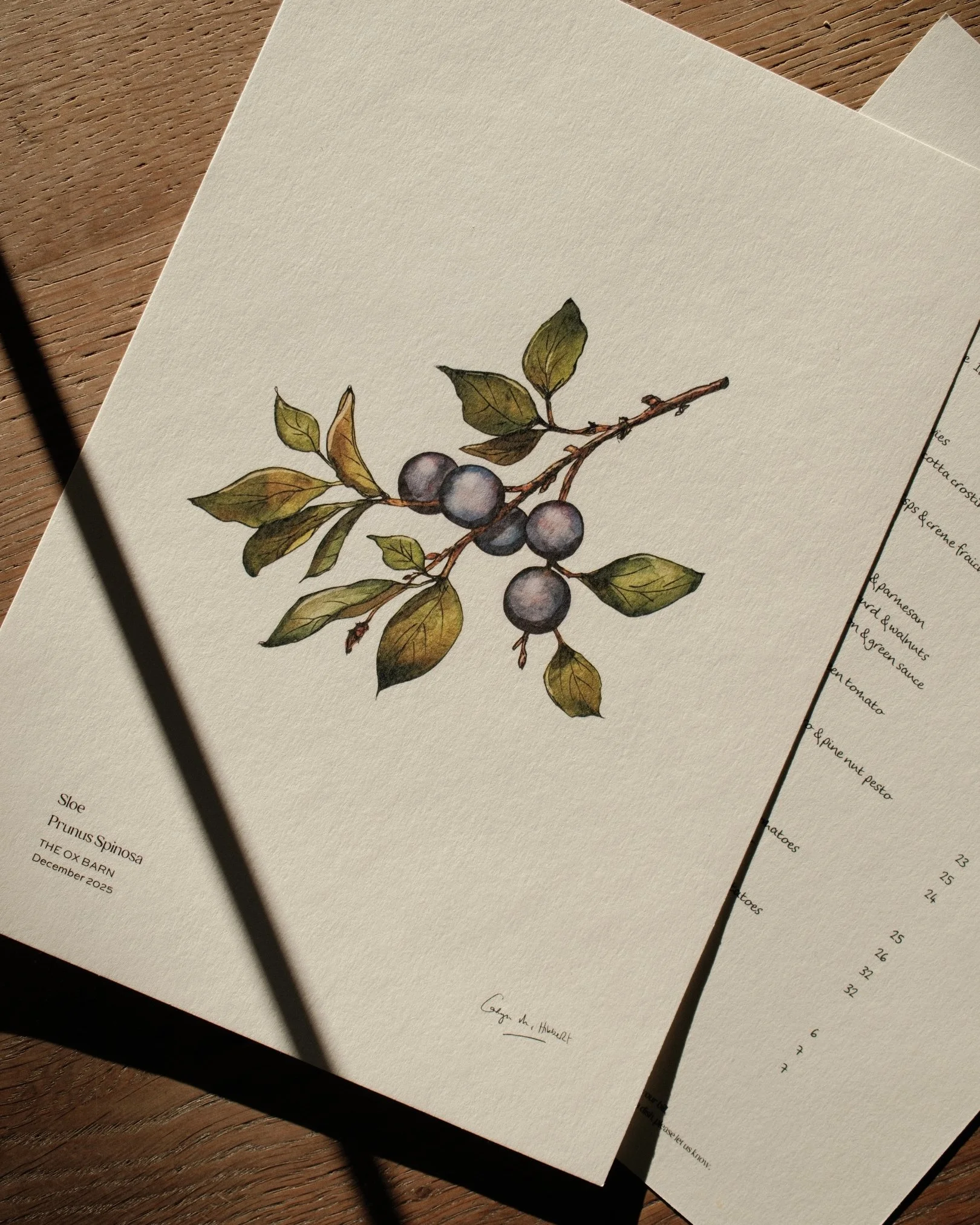 Bertioli Social Posters (2).jpg