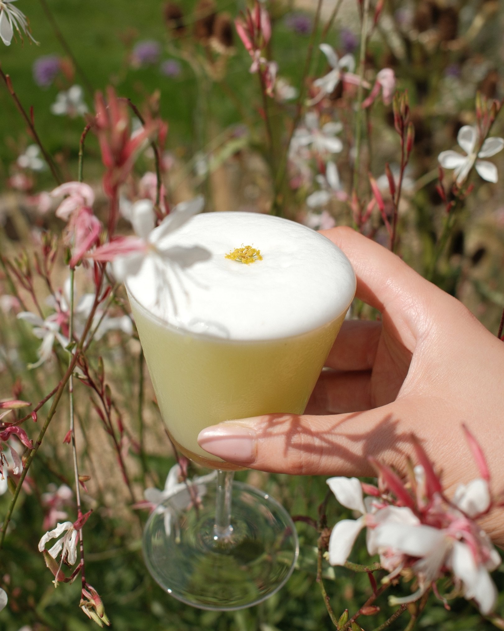 Bertioli Social Posters (1).jpg