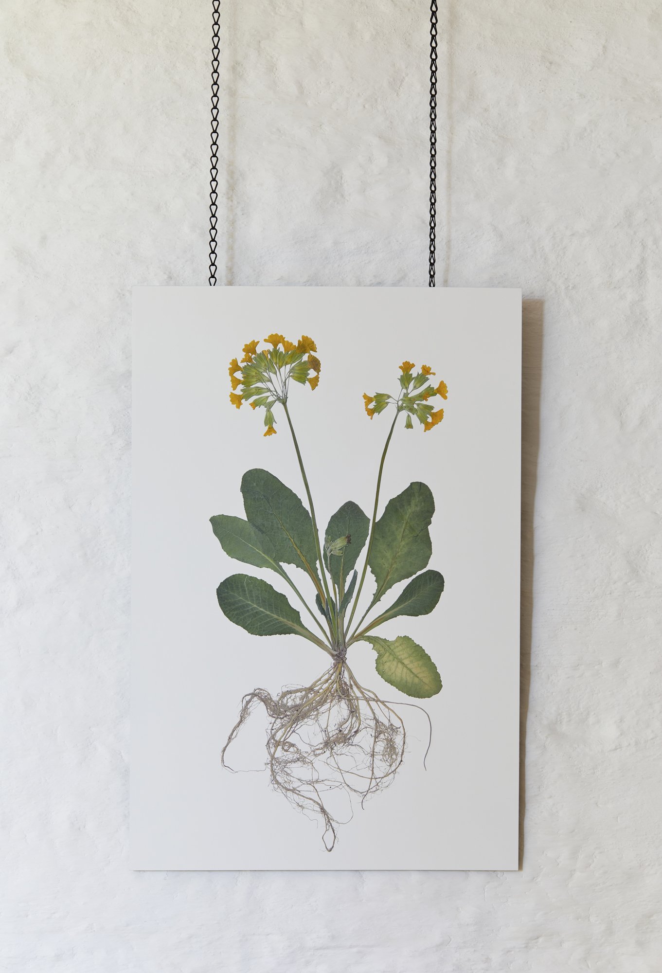 JamJar | Factum Arte at Thyme - credit Sussie Bell.jpeg