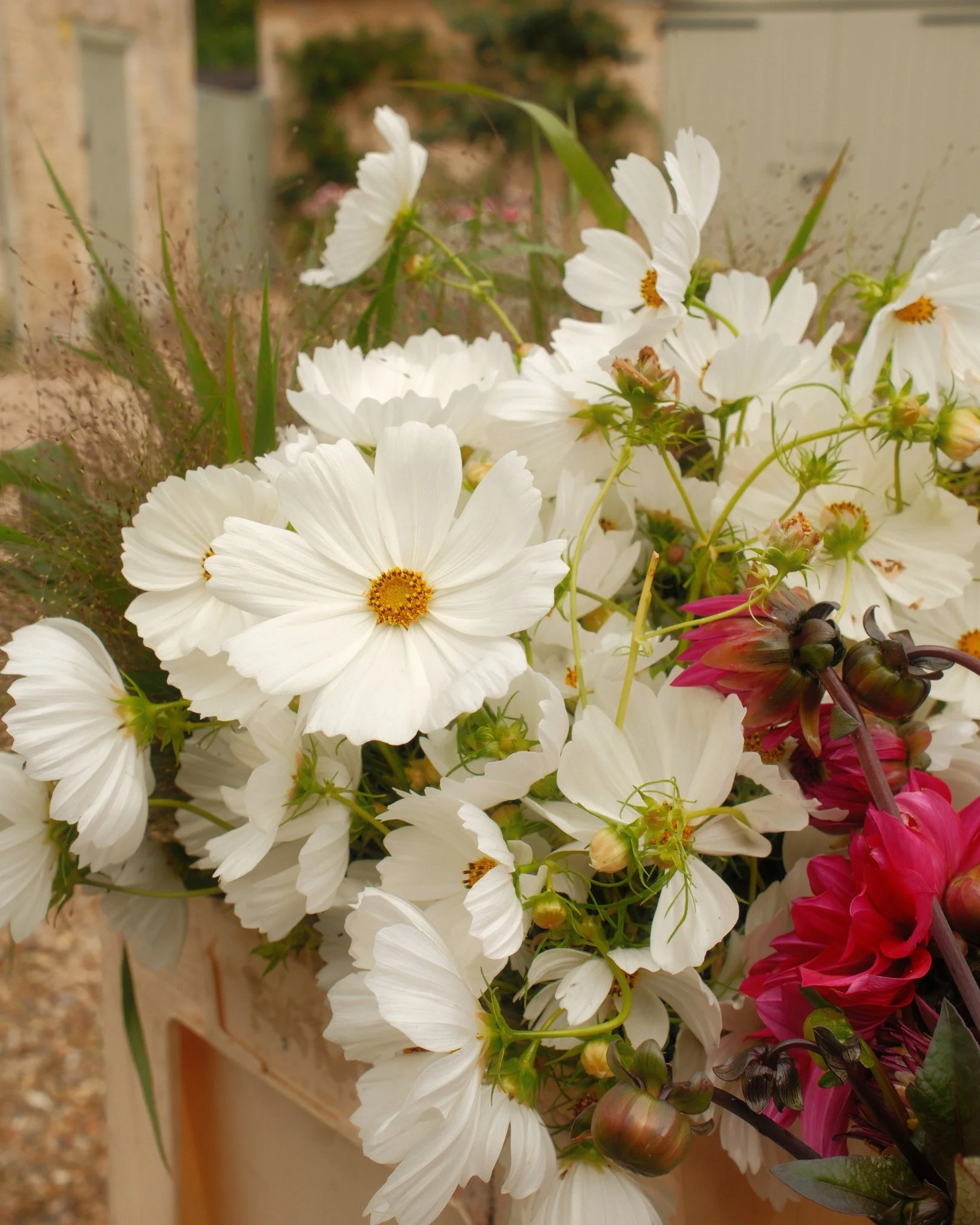 Bertioli Social Posters (20).jpg