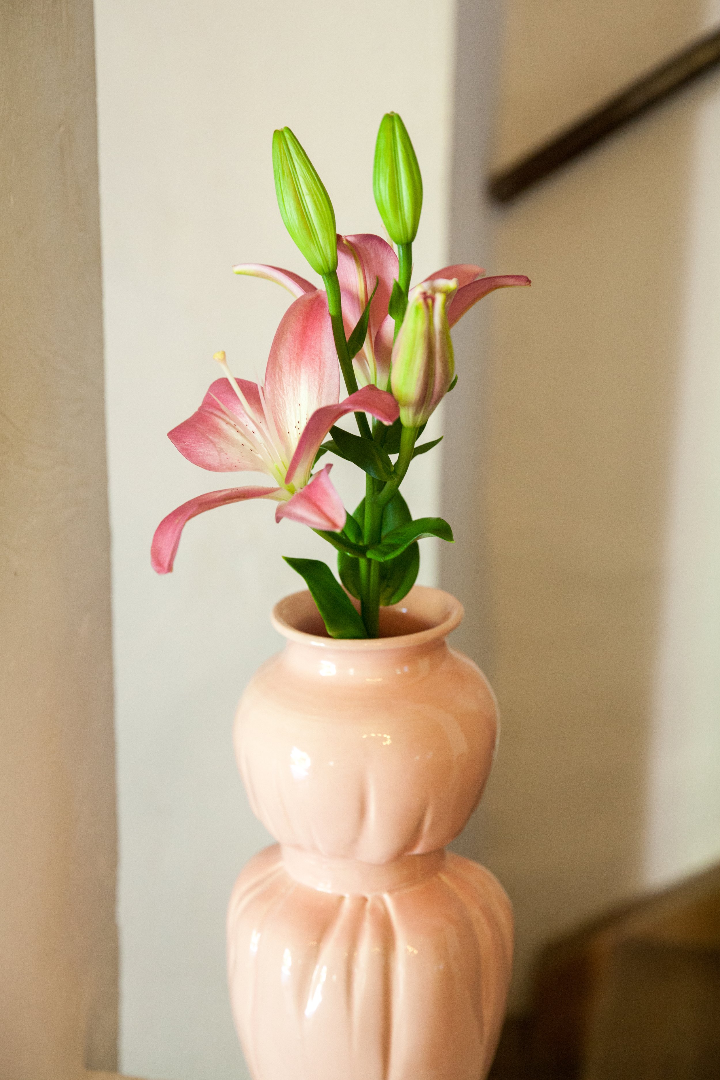 BELT_VASE_PINK_WWW.LOLAMAYERAS.COM_IG_@LOLAMAYERAS_-9941.jpg