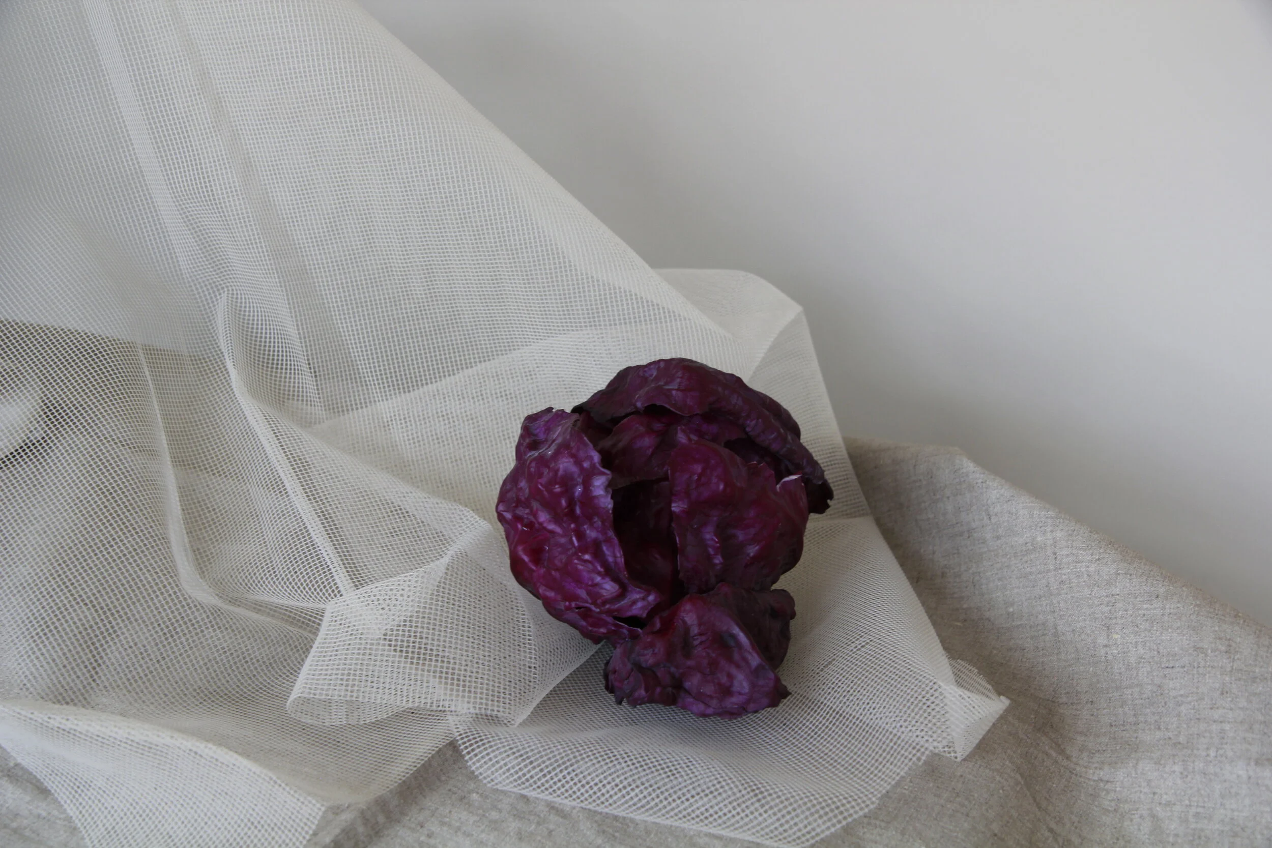 Viviana Bucci  ©2021.JPG